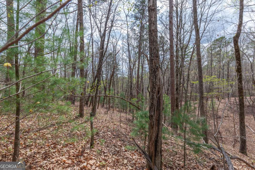 Lot 7a Glenridge Way Property Photo 22