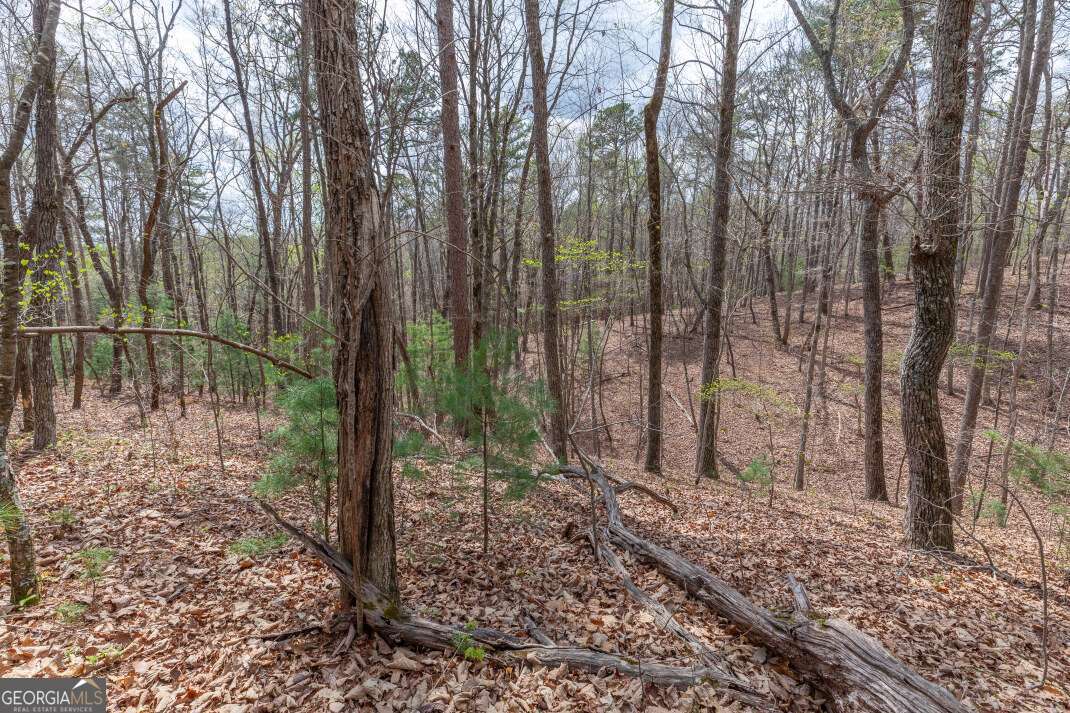 Lot 7a Glenridge Way Property Photo 23