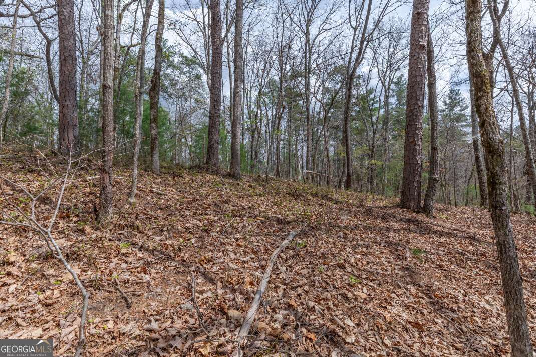 Lot 7a Glenridge Way Property Photo 24