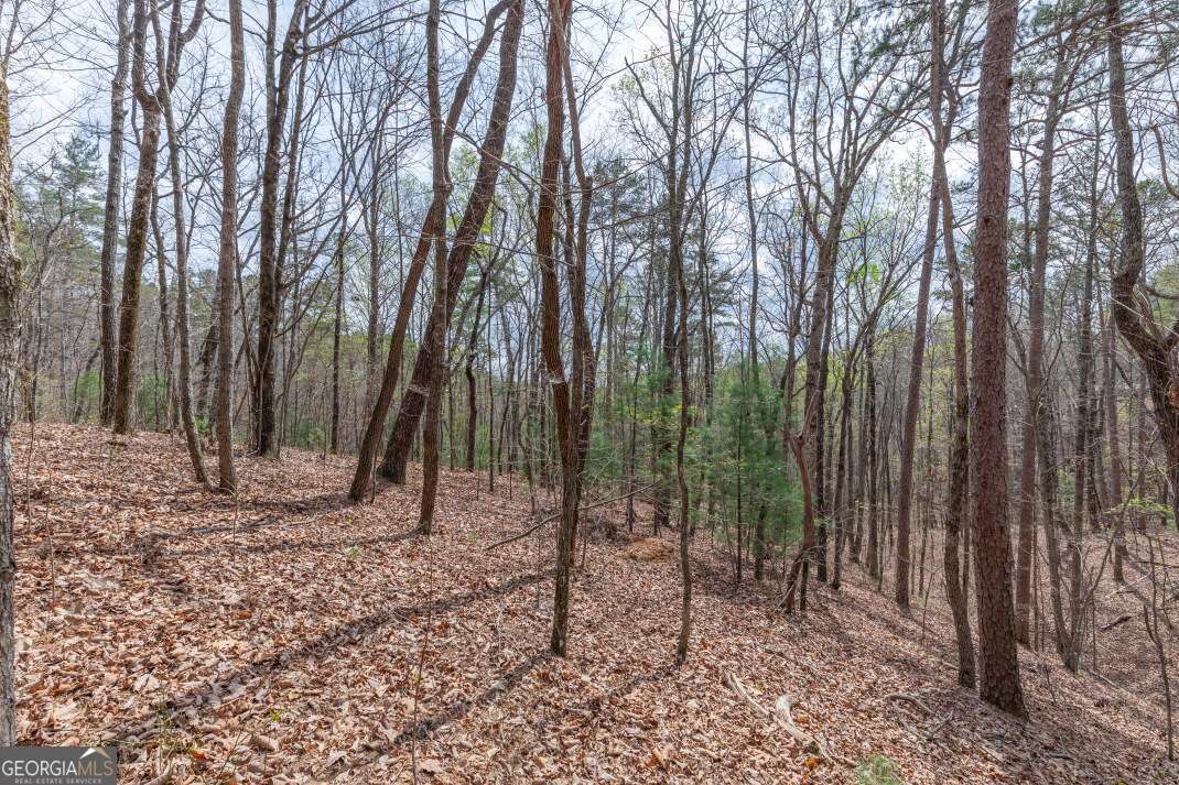 Lot 7a Glenridge Way Property Photo 25