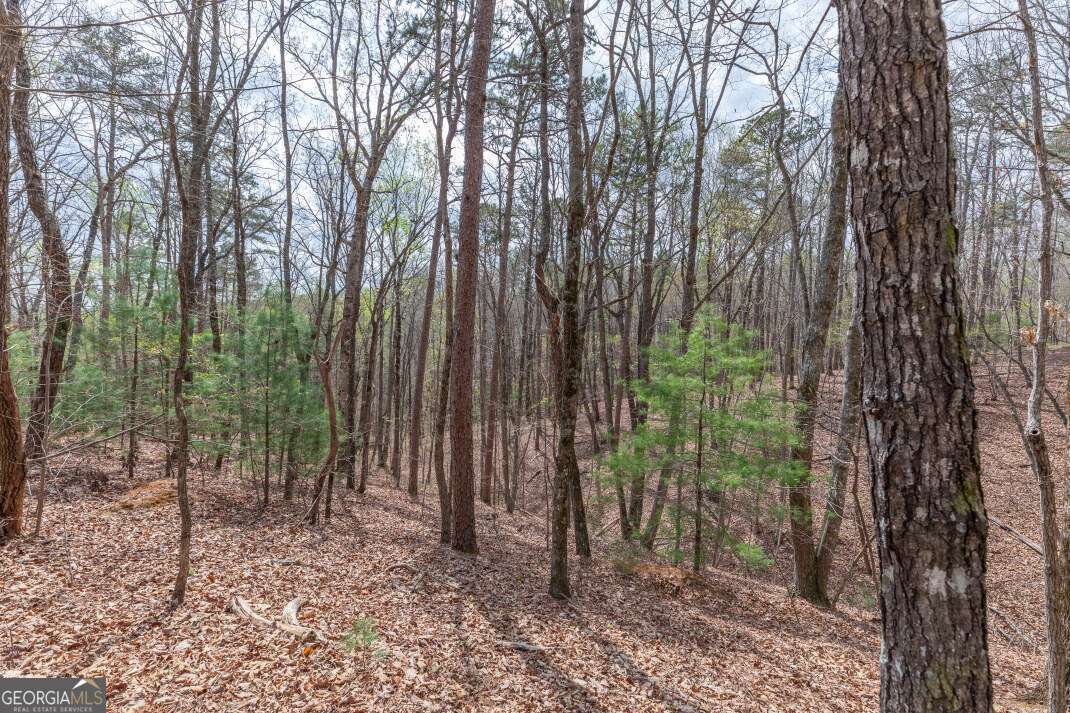 Lot 7a Glenridge Way Property Photo 26