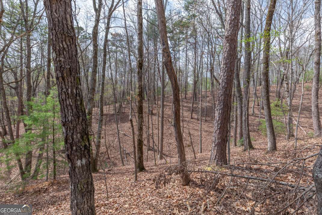 Lot 7a Glenridge Way Property Photo 27