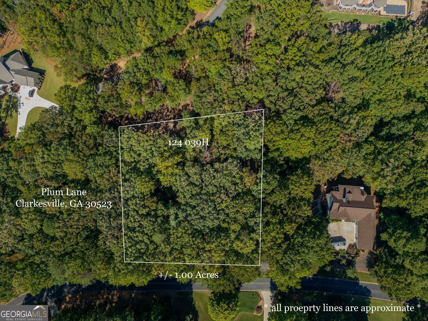0 Plum Lane Property Photo 1