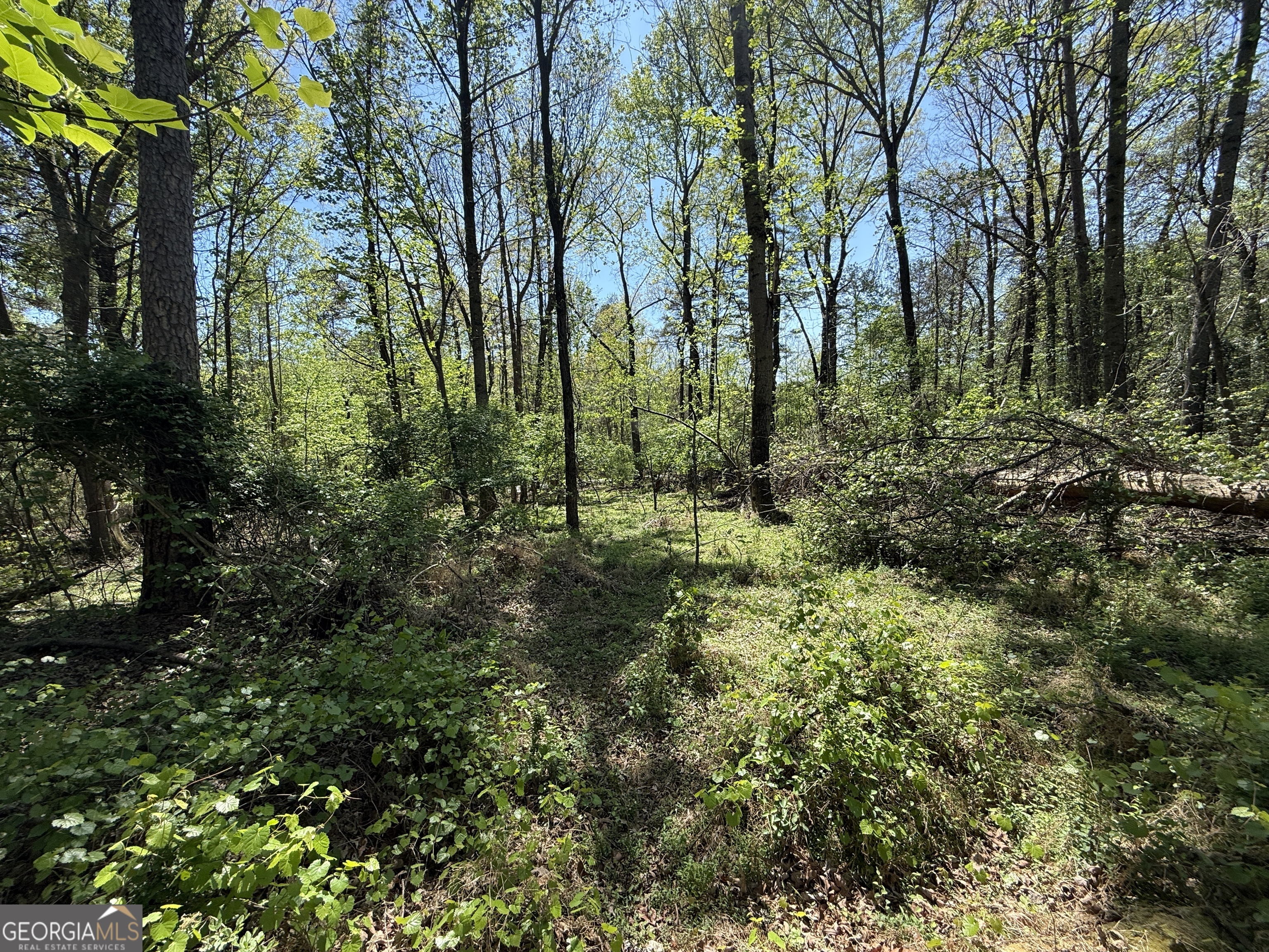 0 Panhandler Circle Property Photo 5