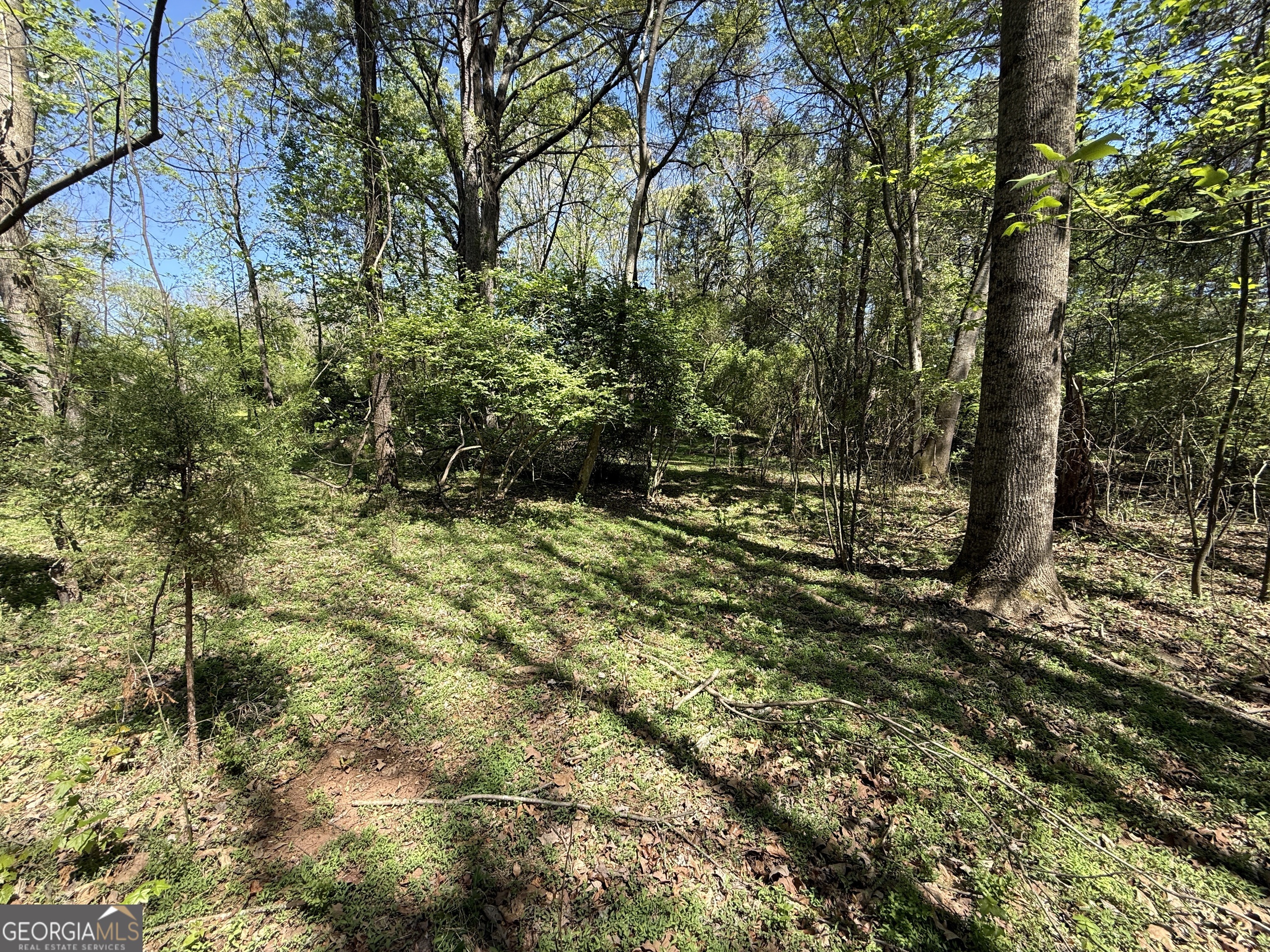 0 Panhandler Circle Property Photo 6