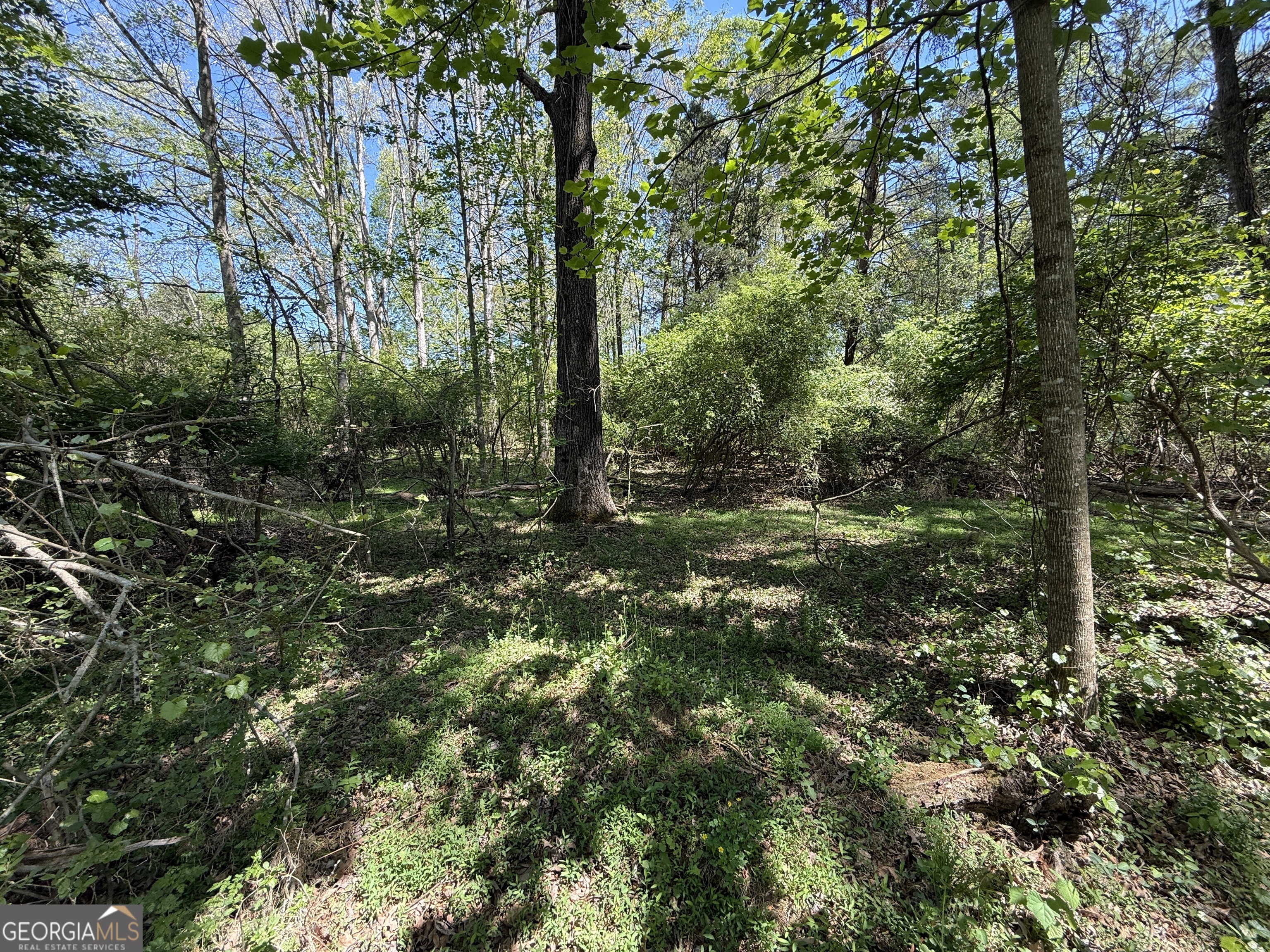 0 Panhandler Circle Property Photo 7