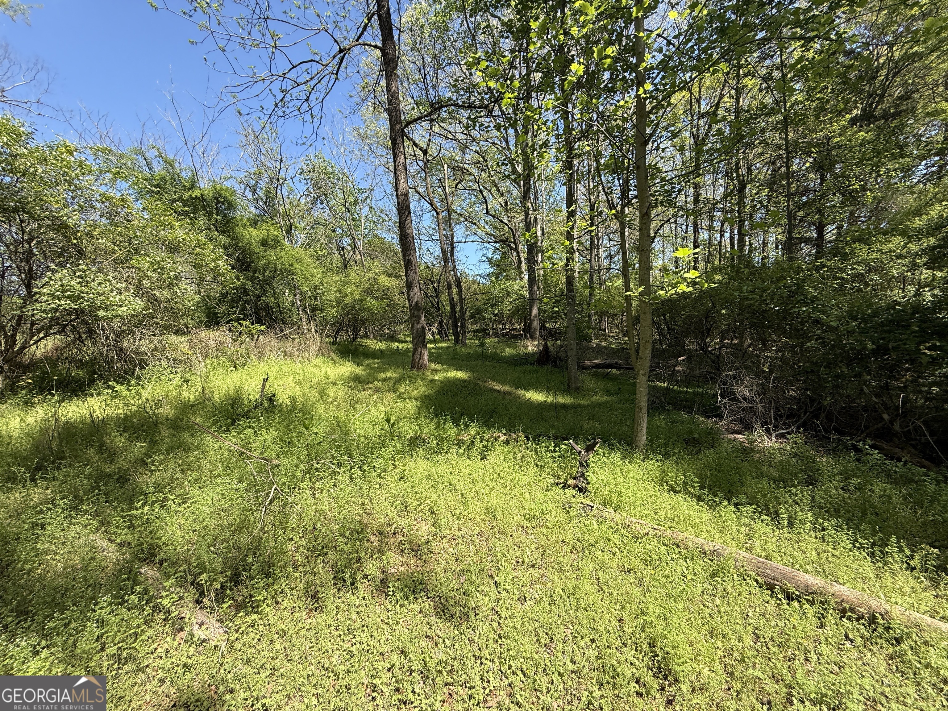 0 Panhandler Circle Property Photo 8