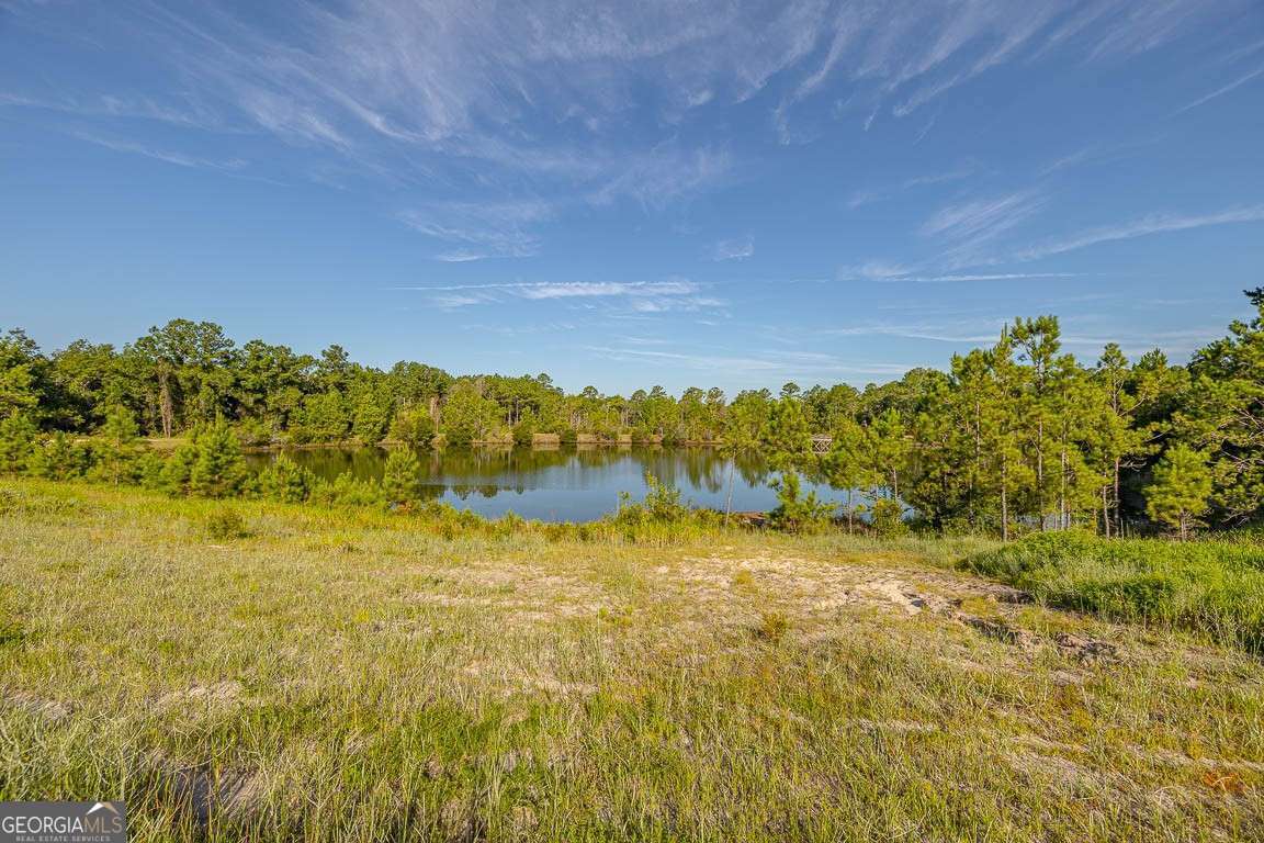254 Satilla Sands Drive Property Photo 5