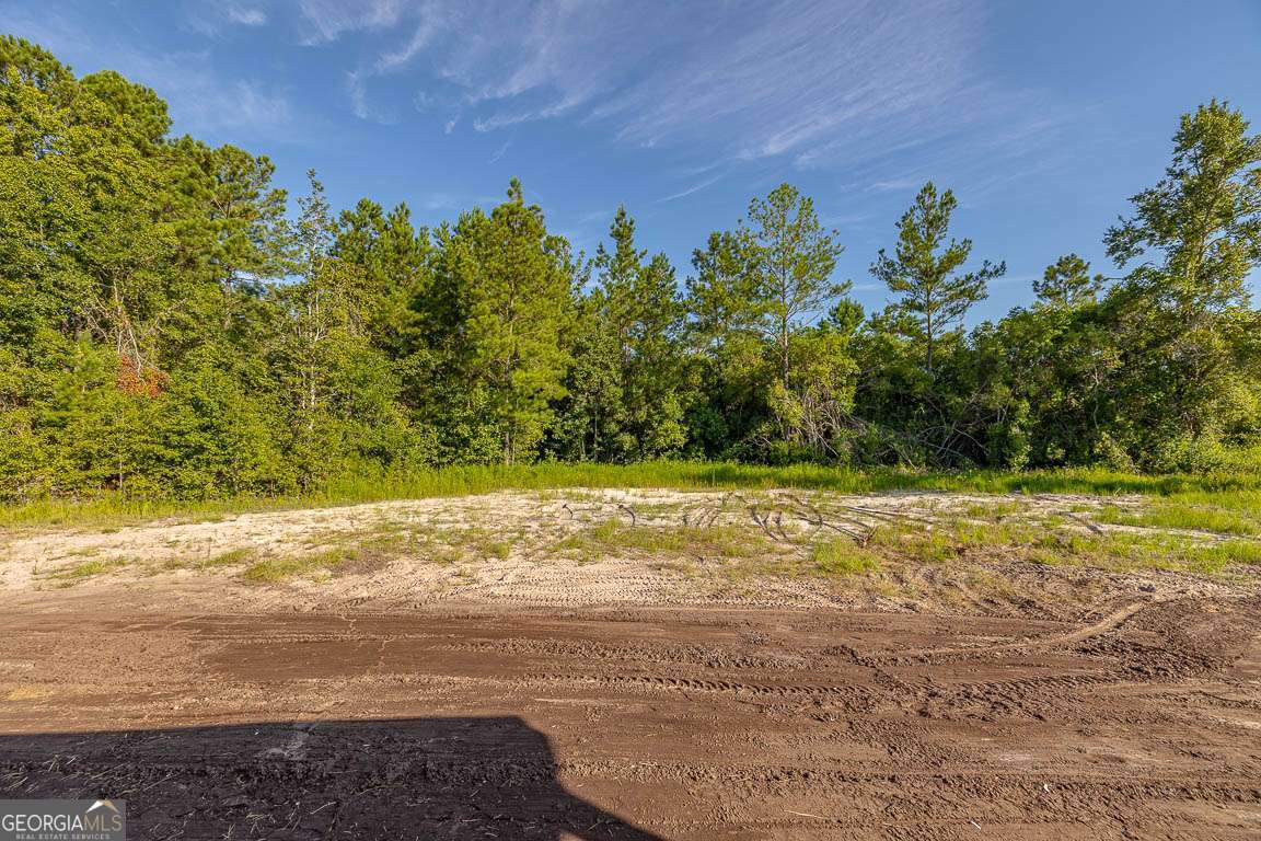 254 Satilla Sands Drive Property Photo 29