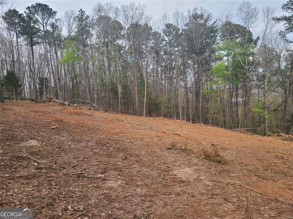 700 Gadsden Road Sw Property Photo 5