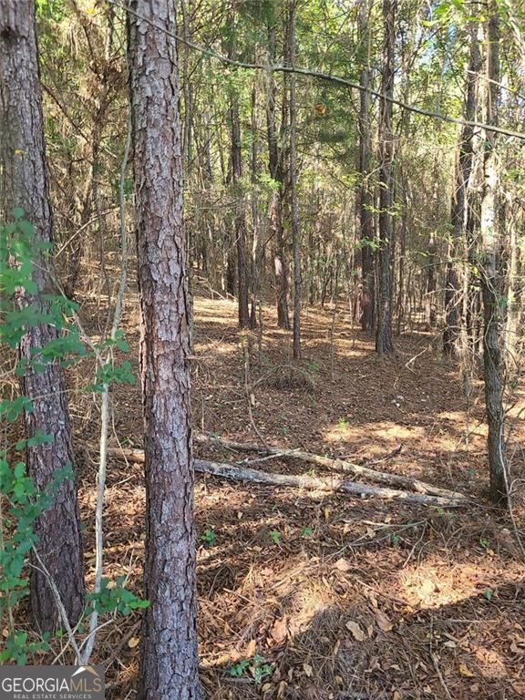 700 Gadsden Road Sw Property Photo 7