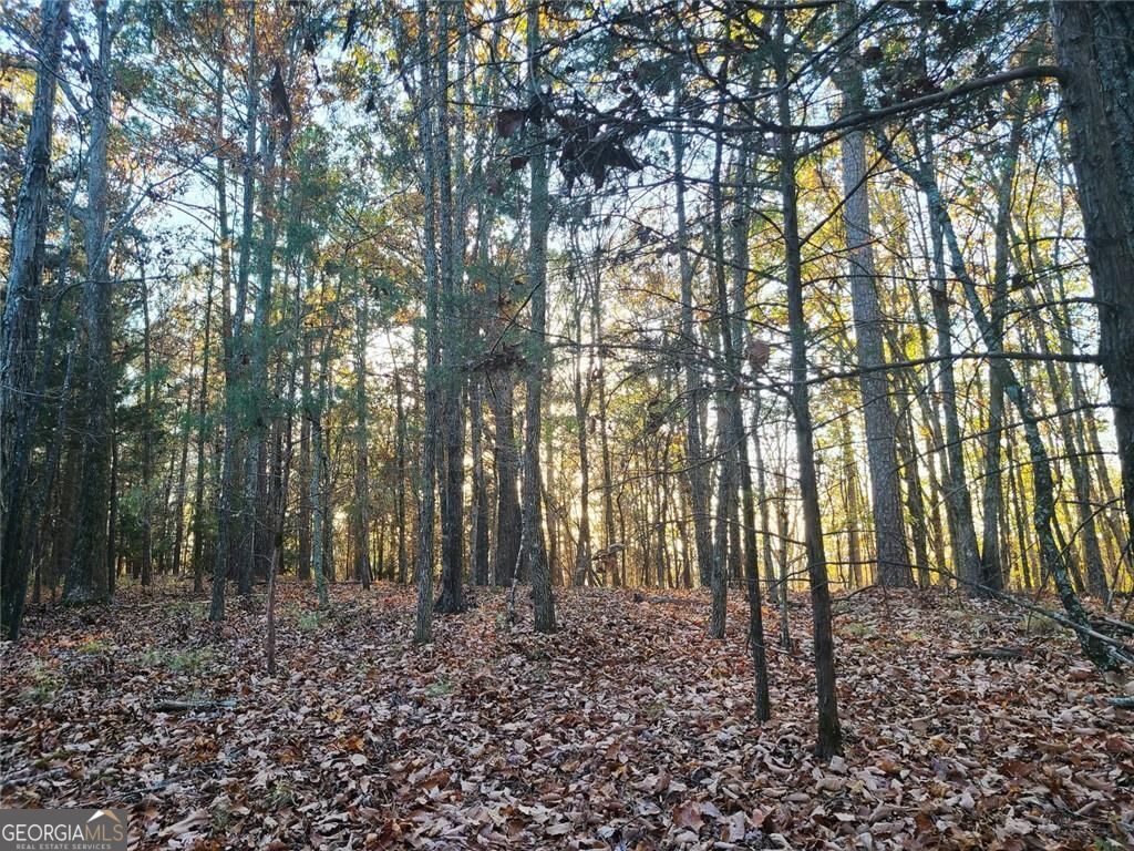 700 Gadsden Road Sw Property Photo 9