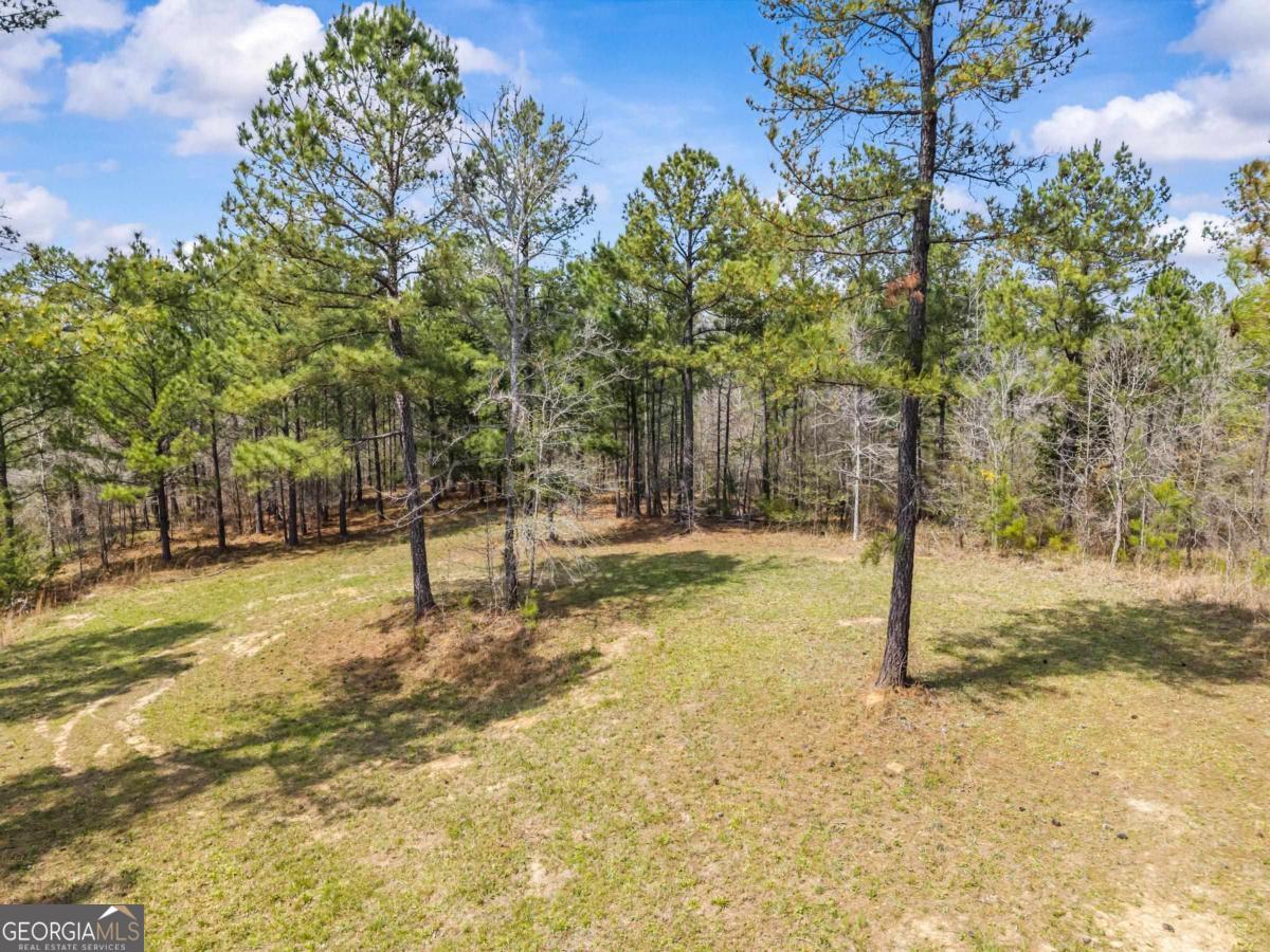 862 Monticello Road Property Photo 22