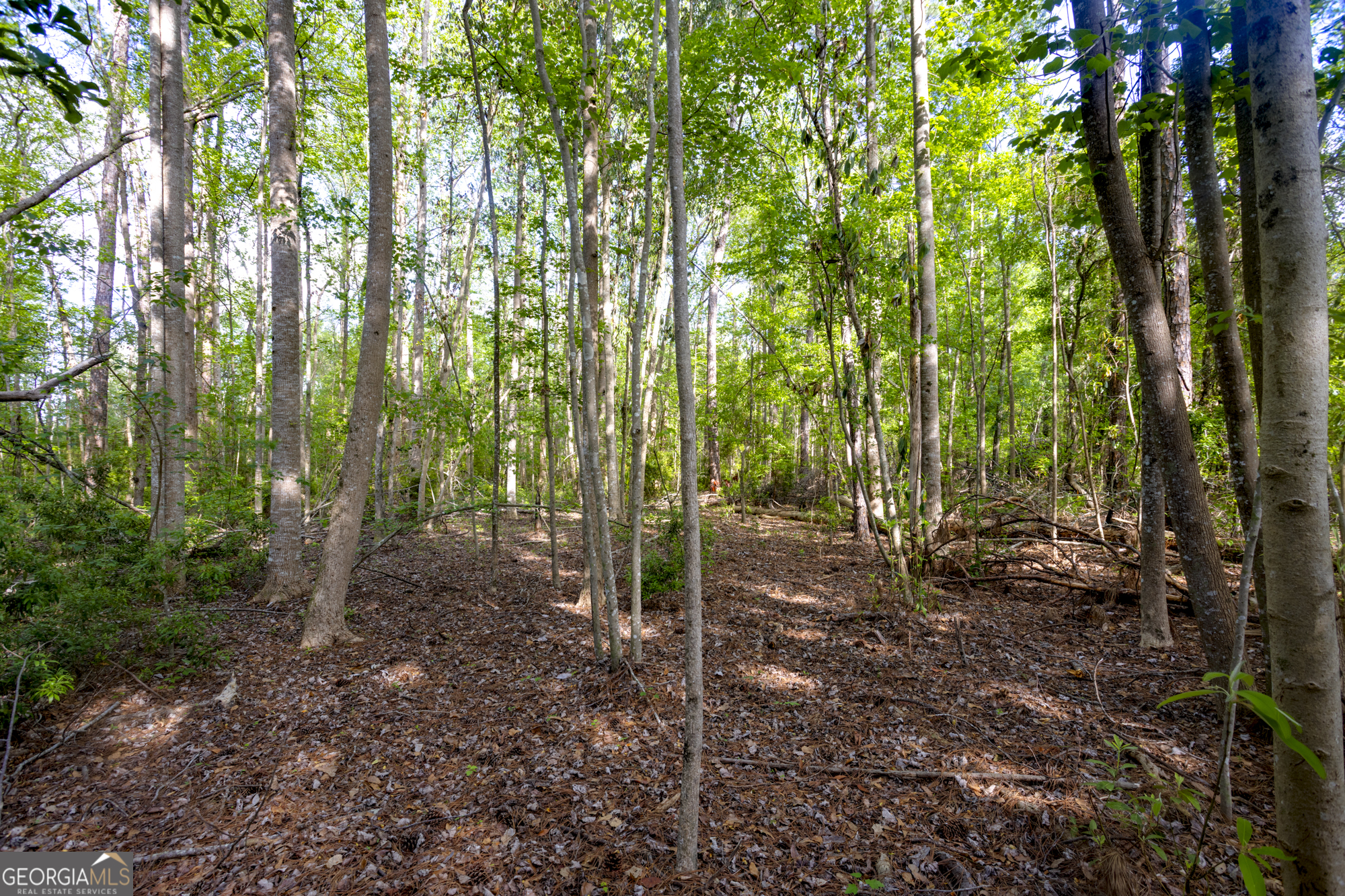 0 Siesta Lane (lot 3) Property Photo 11