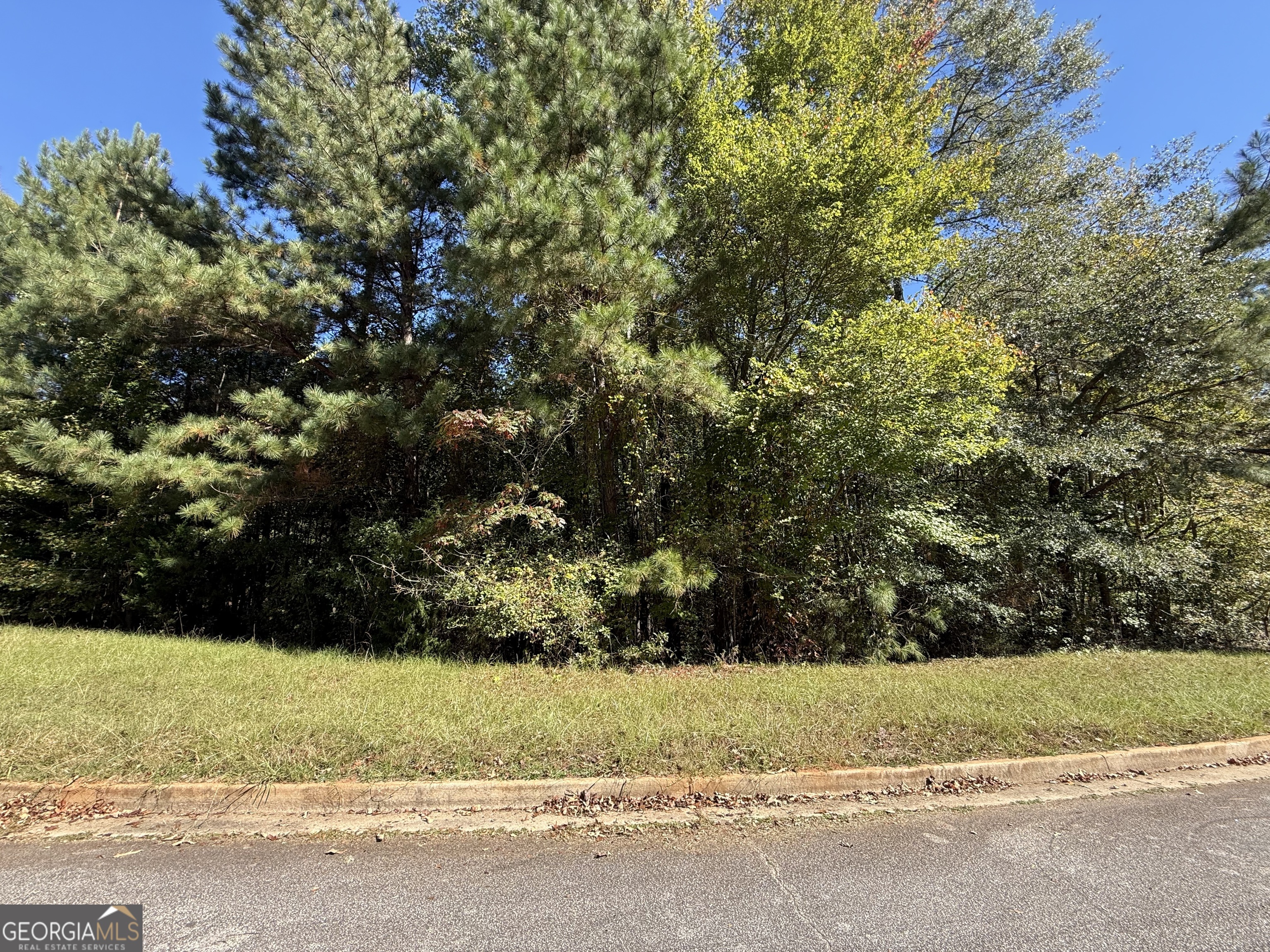 1333 Nickel Oak Bend