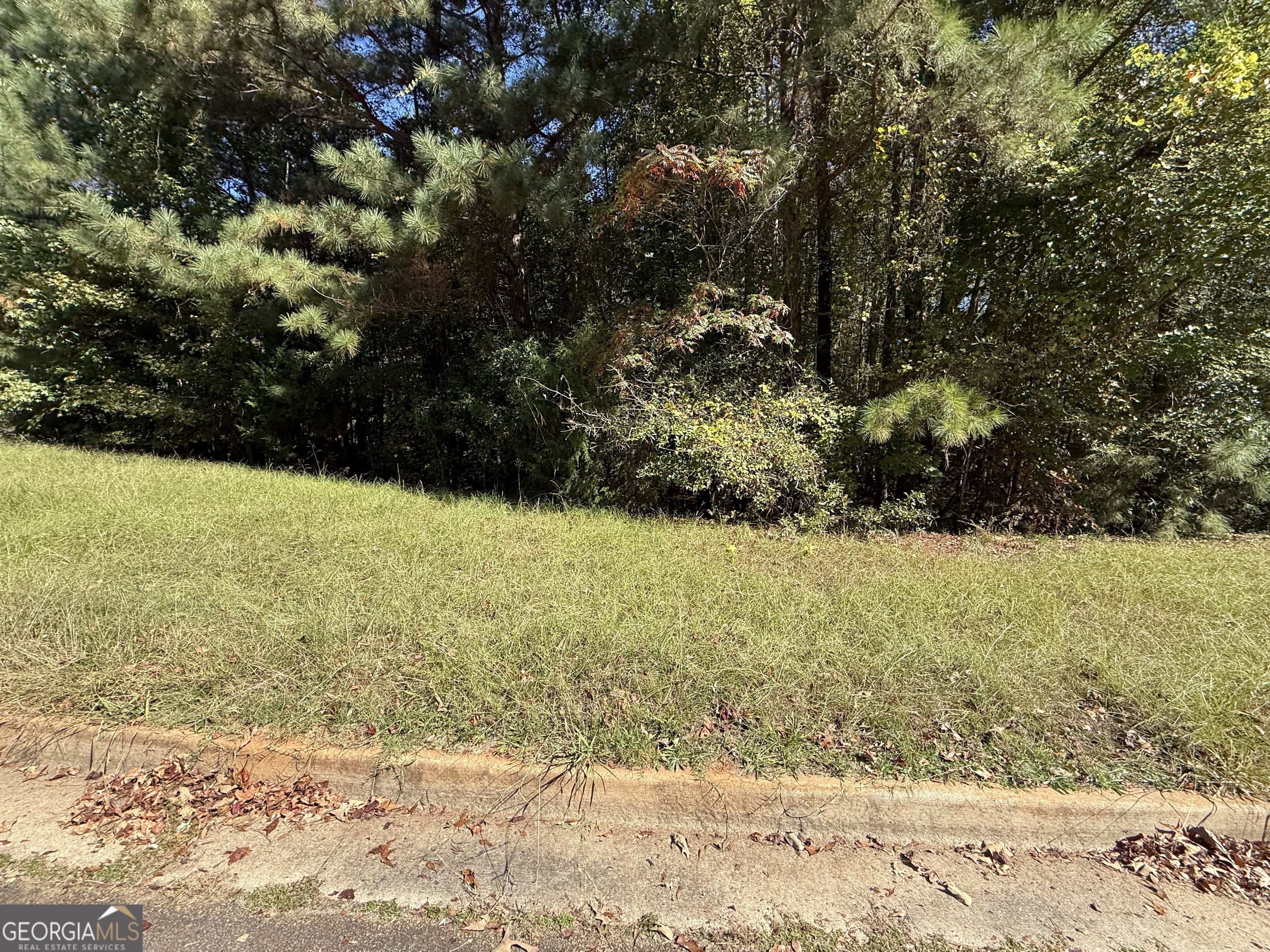 1333 Nickel Oak Bend Property Photo 2
