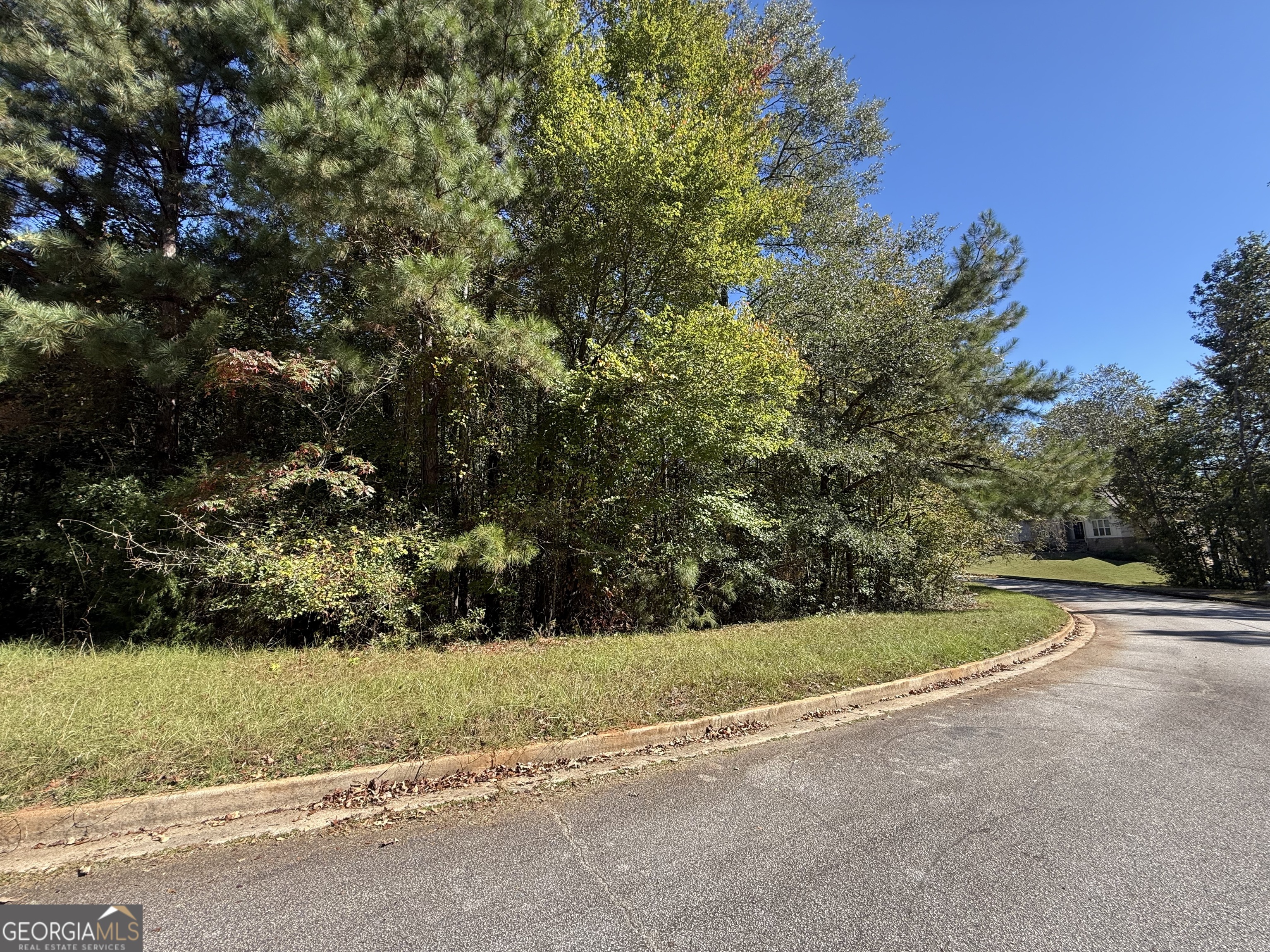 1333 Nickel Oak Bend Property Photo 3