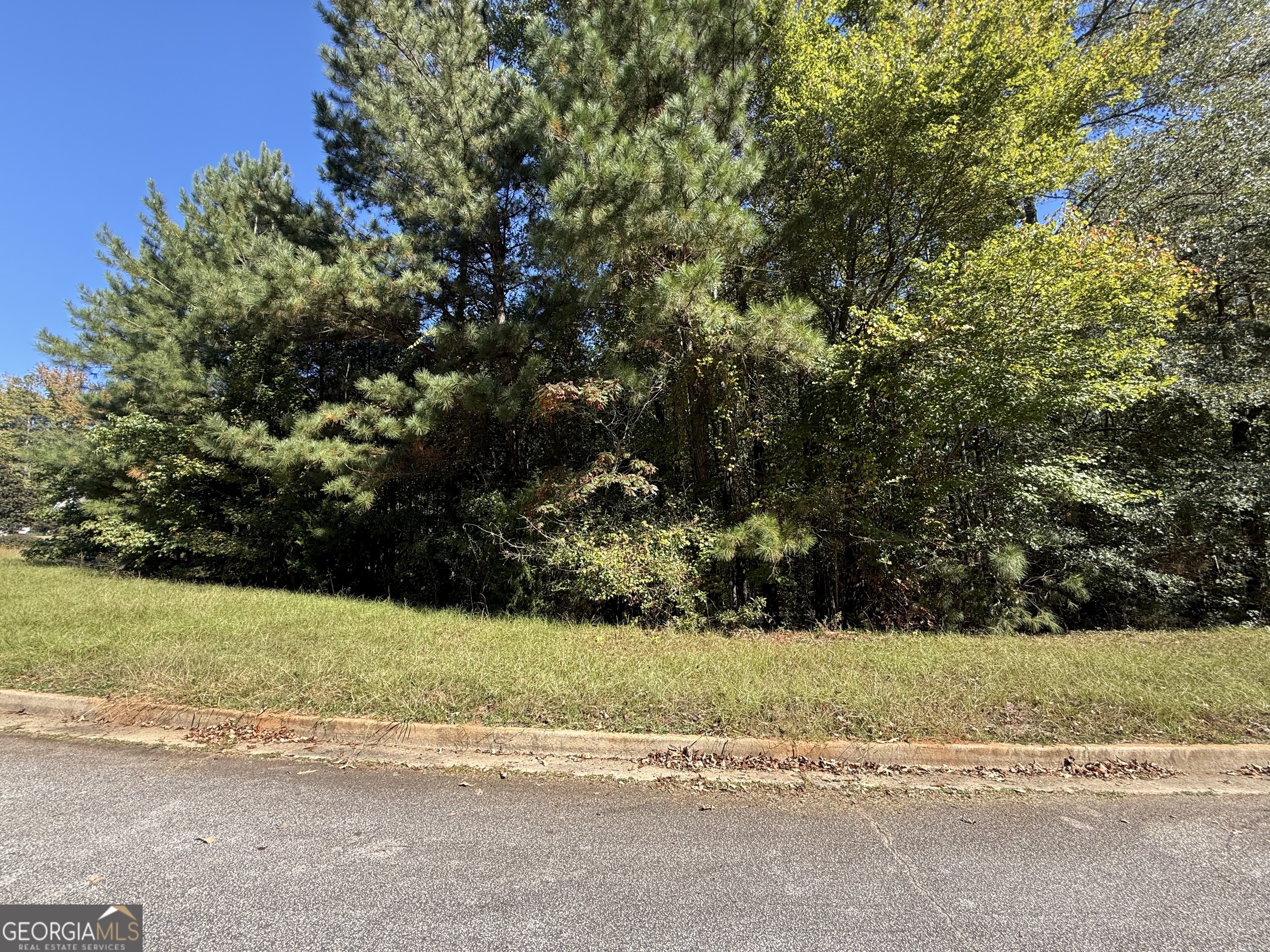 1333 Nickel Oak Bend Property Photo 4