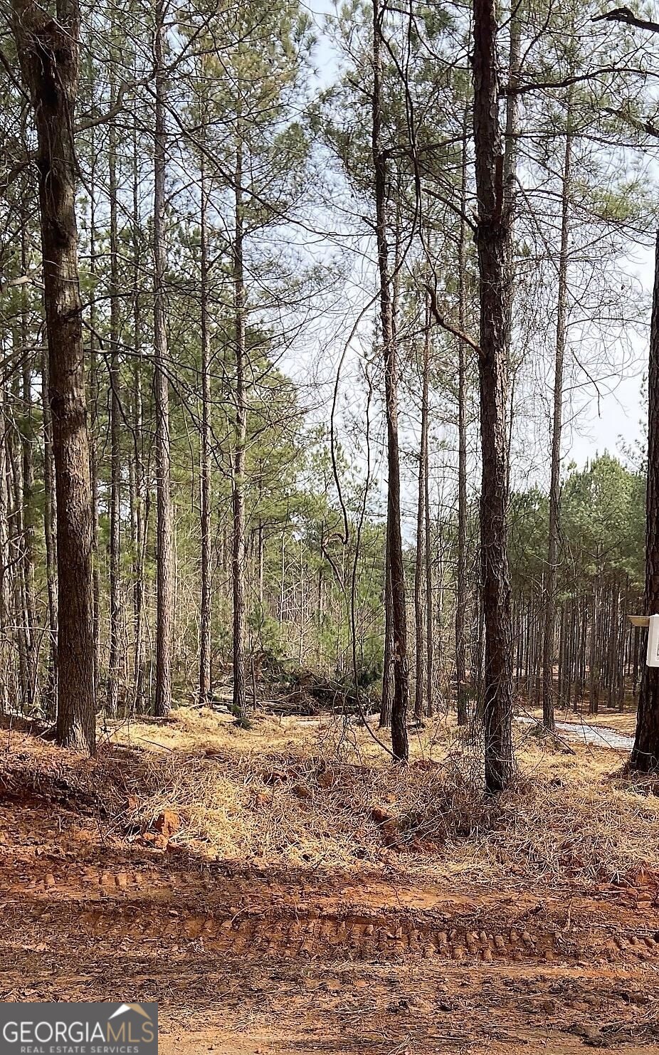 Lot 5 Jaxon Path Property Photo 2