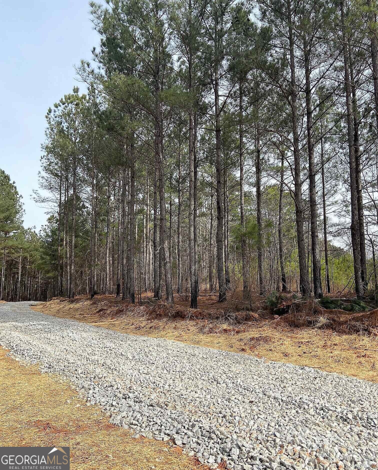 Lot 5 Jaxon Path Property Photo 3