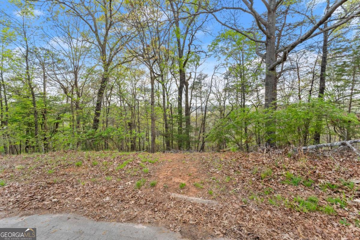 2517 Thompson Overlook Property Photo 2
