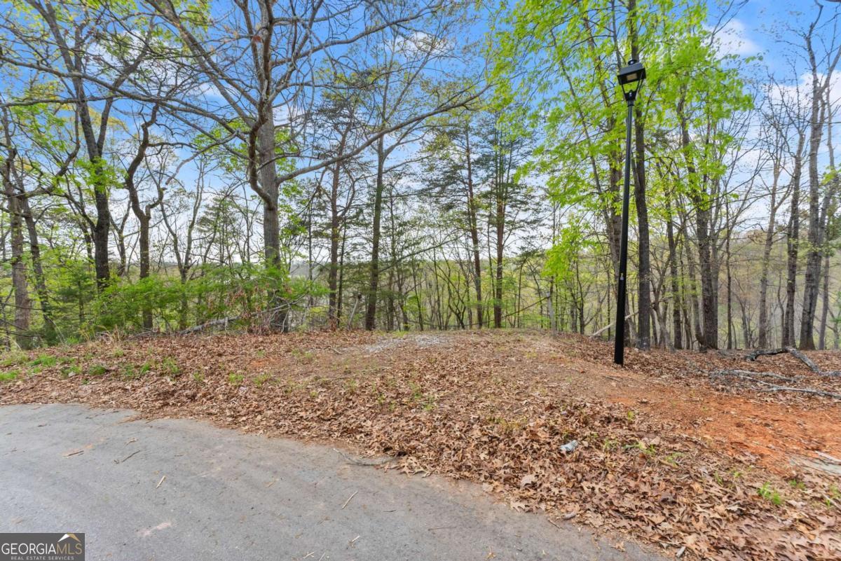 2517 Thompson Overlook Property Photo 3