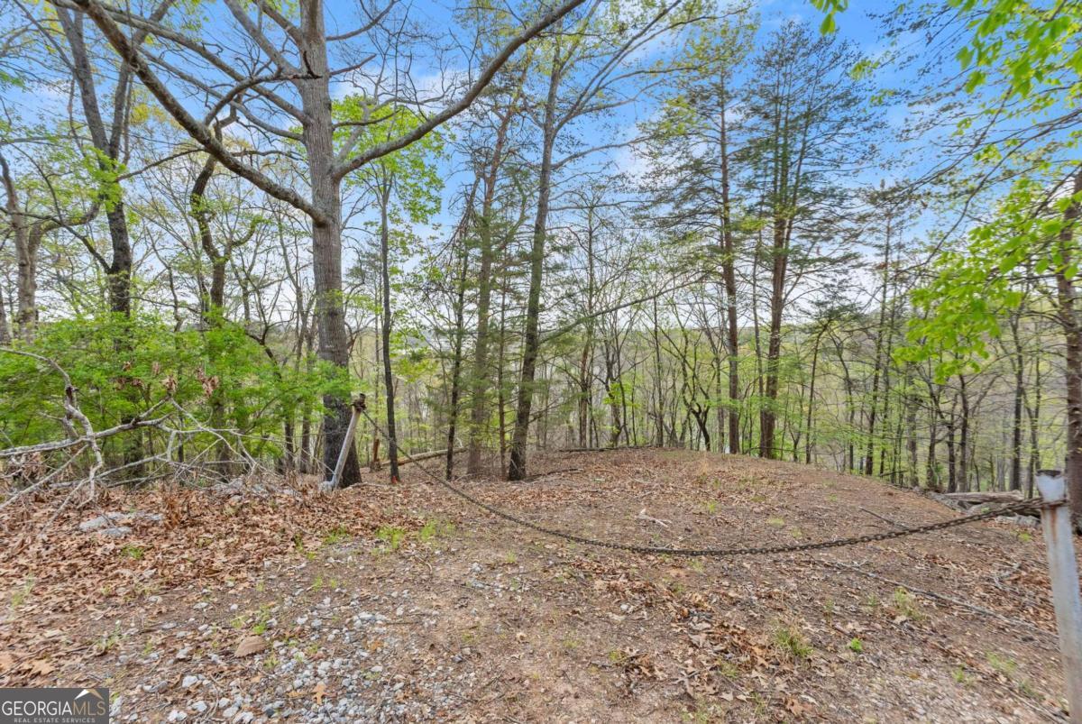 2517 Thompson Overlook Property Photo 4
