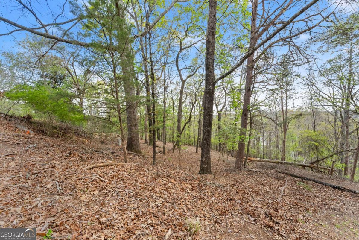 2517 Thompson Overlook Property Photo 5