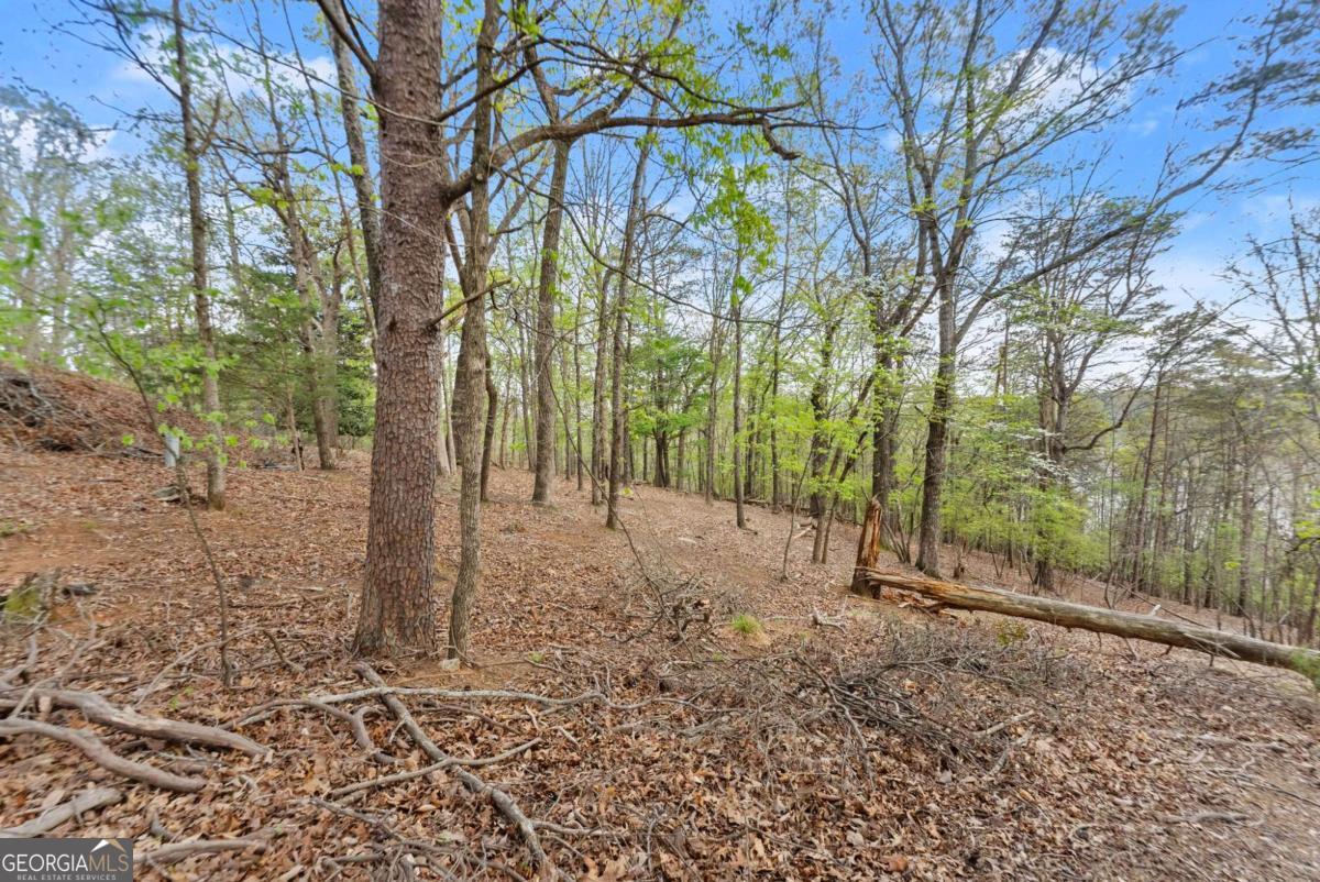 2517 Thompson Overlook Property Photo 6