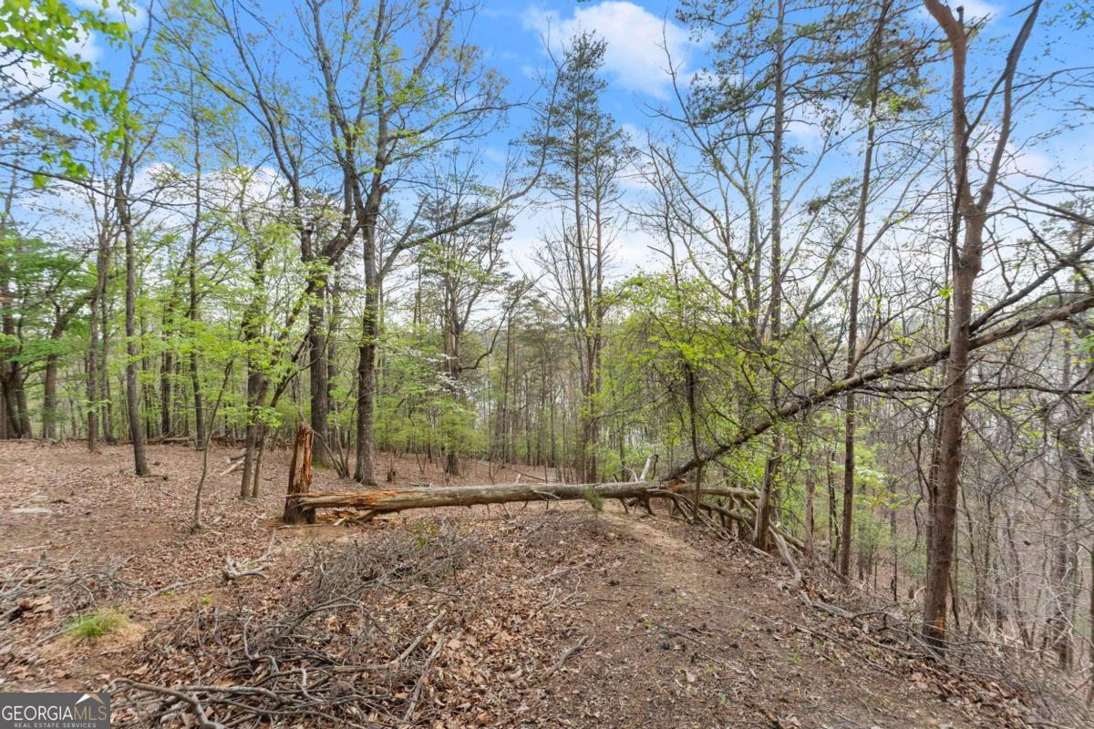 2517 Thompson Overlook Property Photo 7