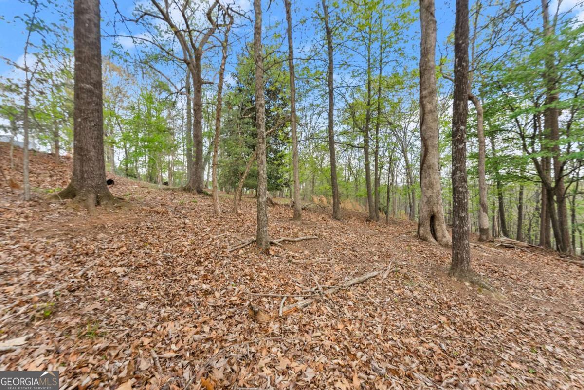 2524 Thompson Ovlk Property Photo 5