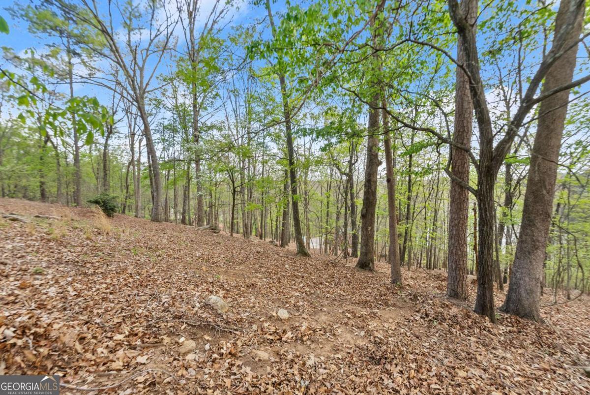 2524 Thompson Ovlk Property Photo 6