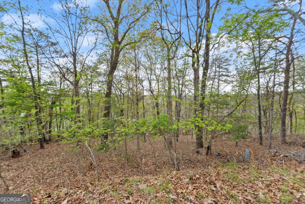 2528 Thompson Ovlk Property Photo 2