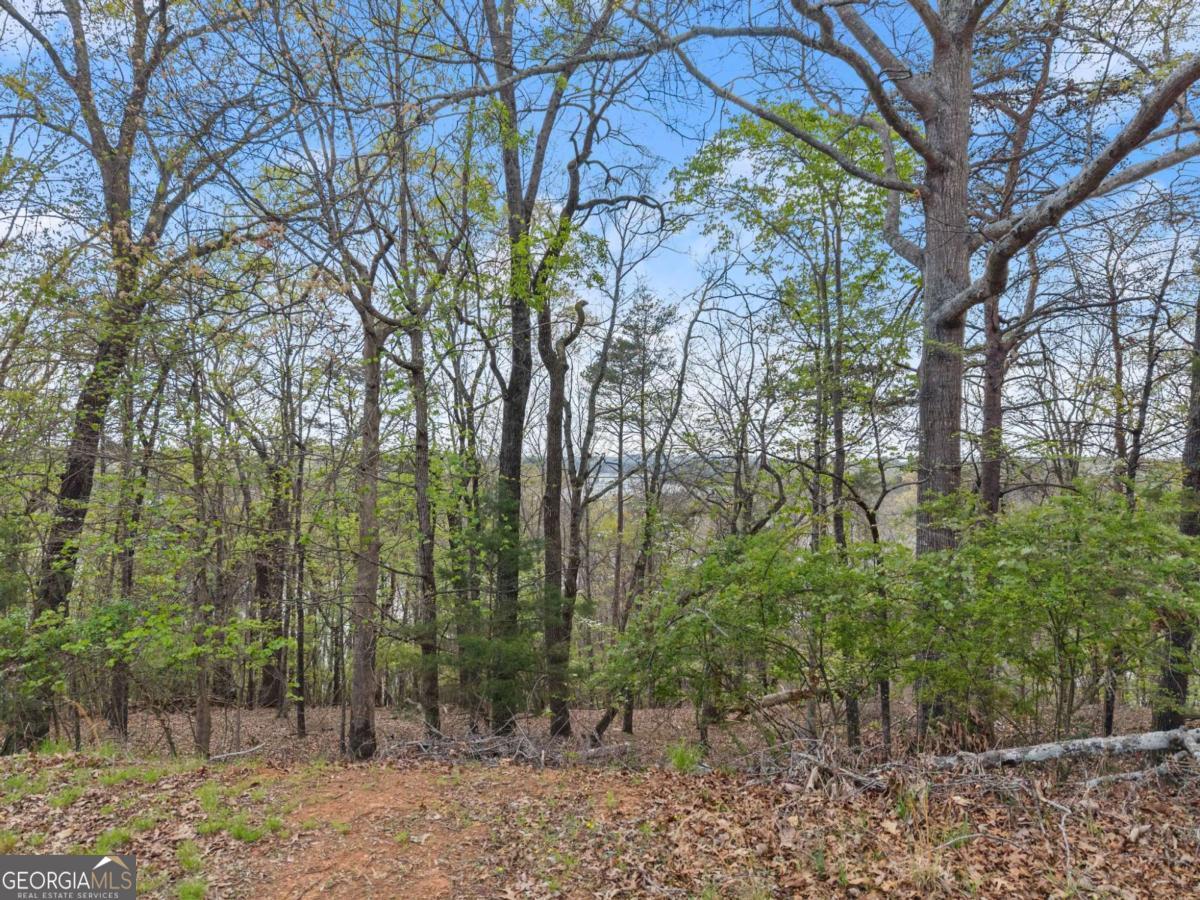 2528 Thompson Ovlk Property Photo 3