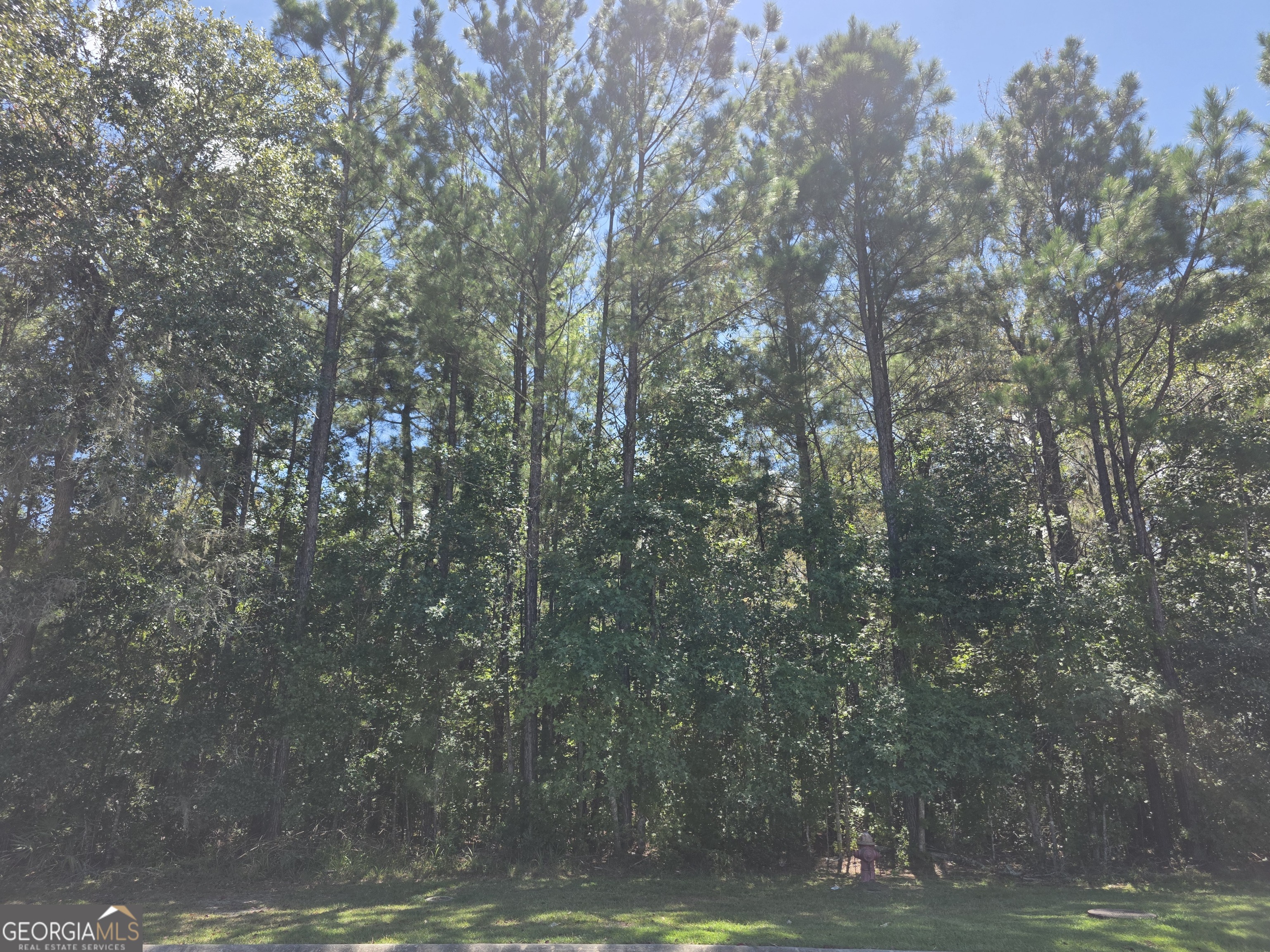Lot 143 Canopy Lane Property Photo 1