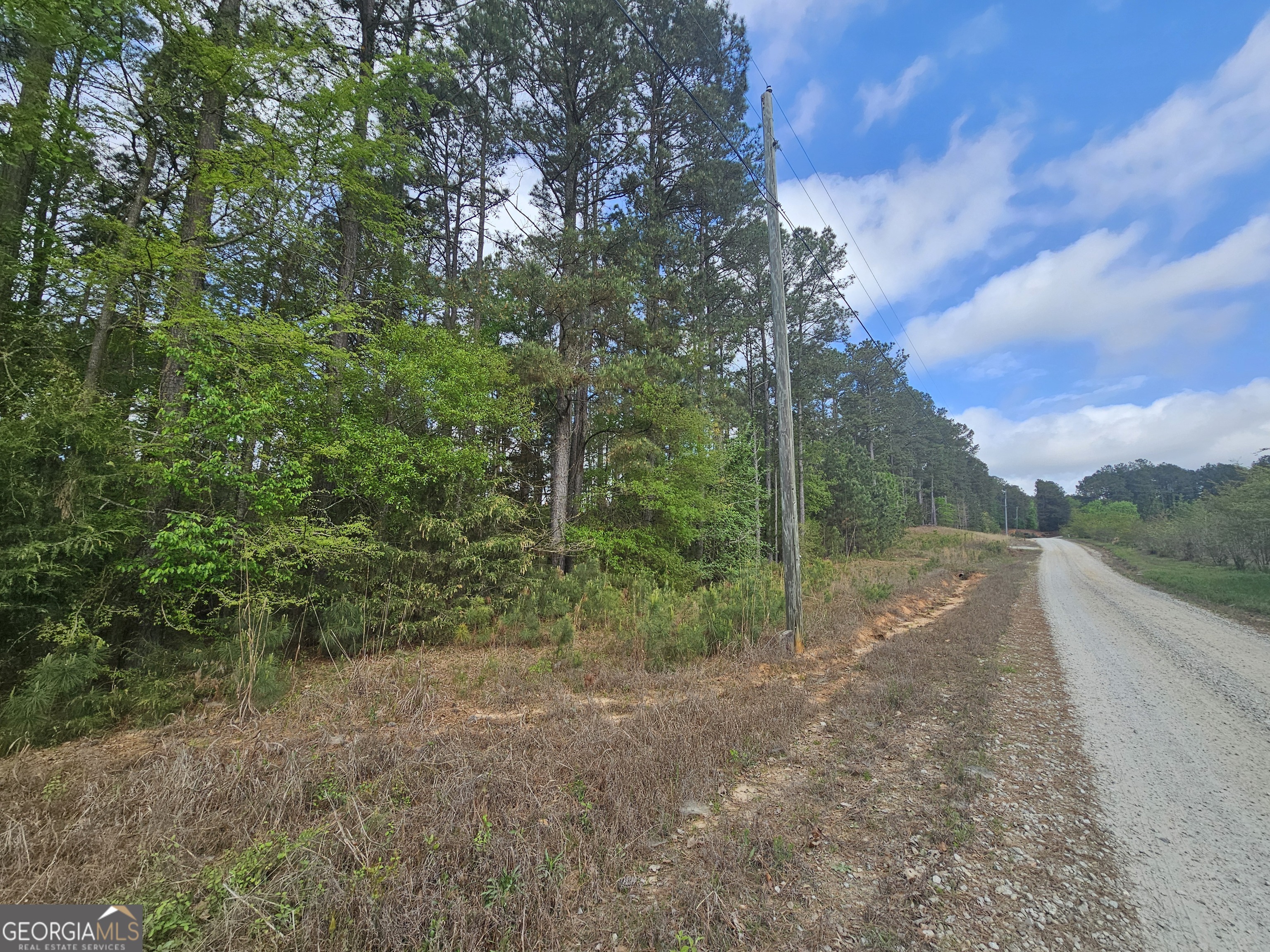 Lot 12 Gregg Shoals Drive Property Photo 3