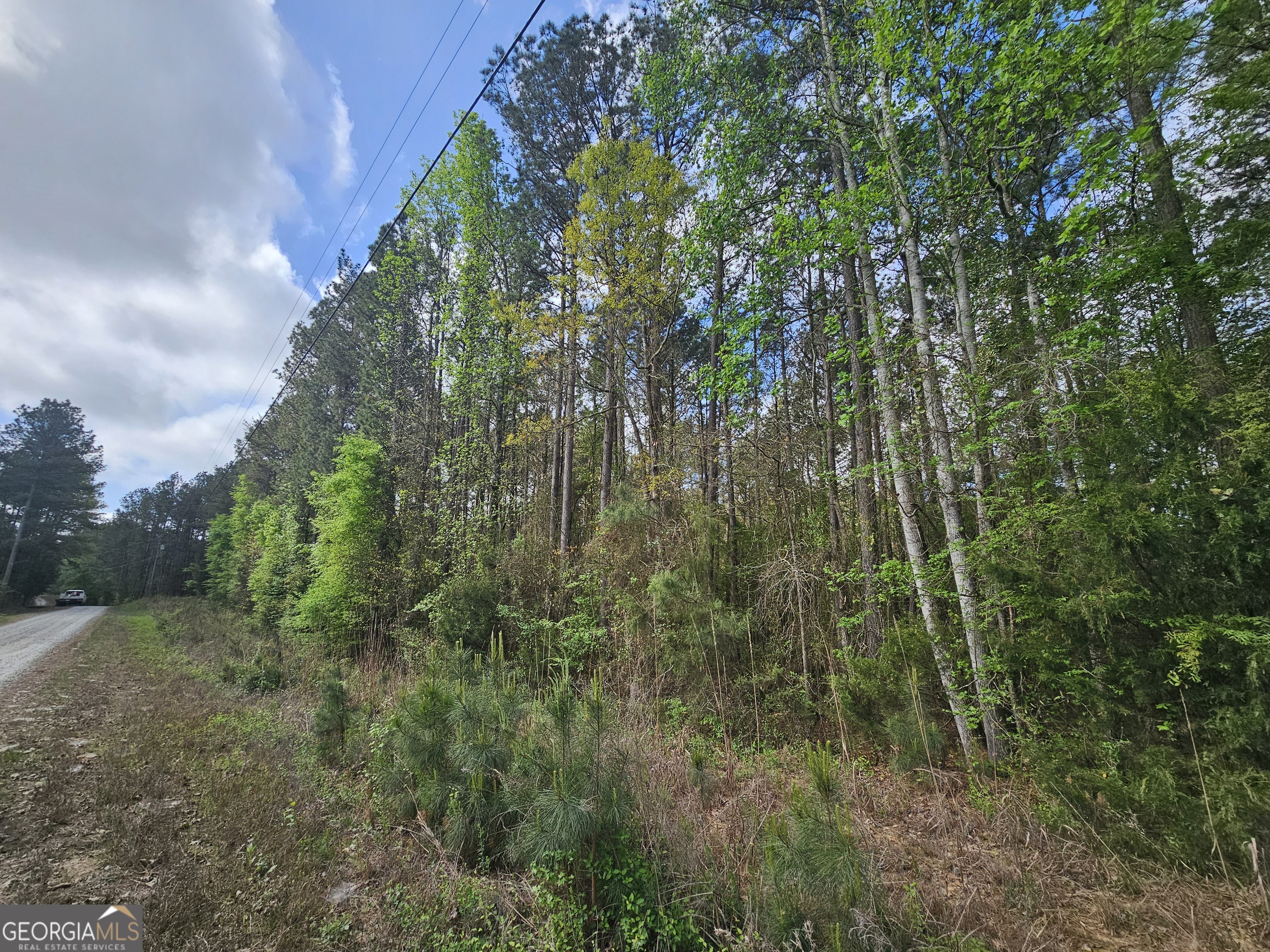 Lot 12 Gregg Shoals Drive Property Photo 4