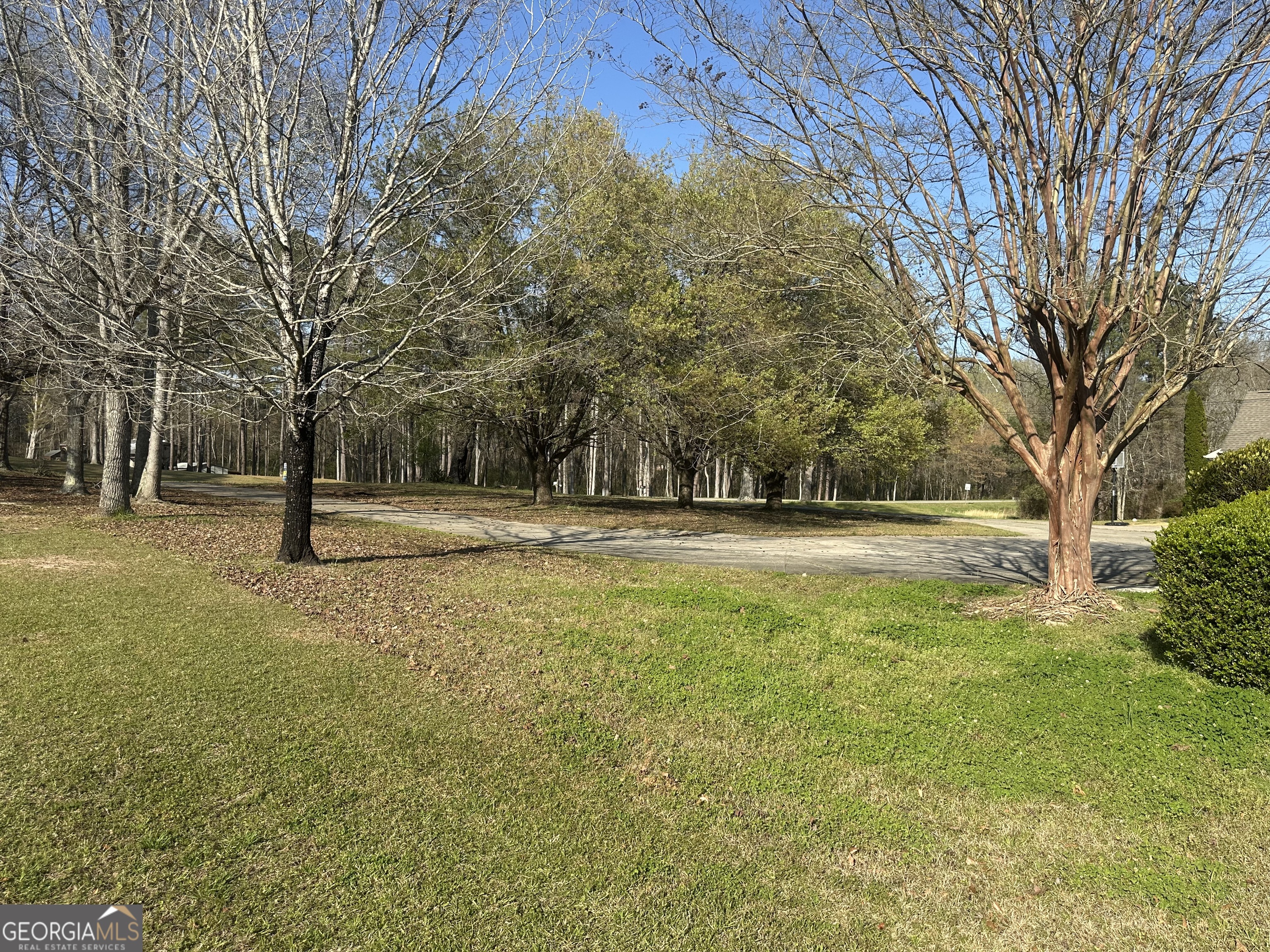 248 Manley Road Property Photo 5