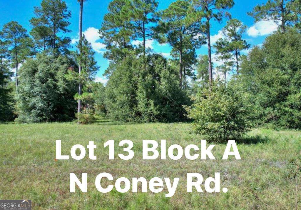 0 N Coney Rd Lot 13 Block A Property Photo 1