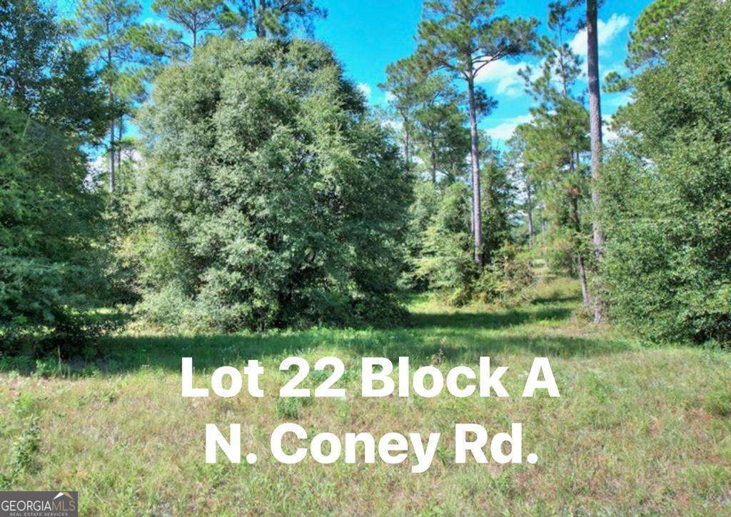 0 N Coney Rd Lot 22 Block A Property Photo 1