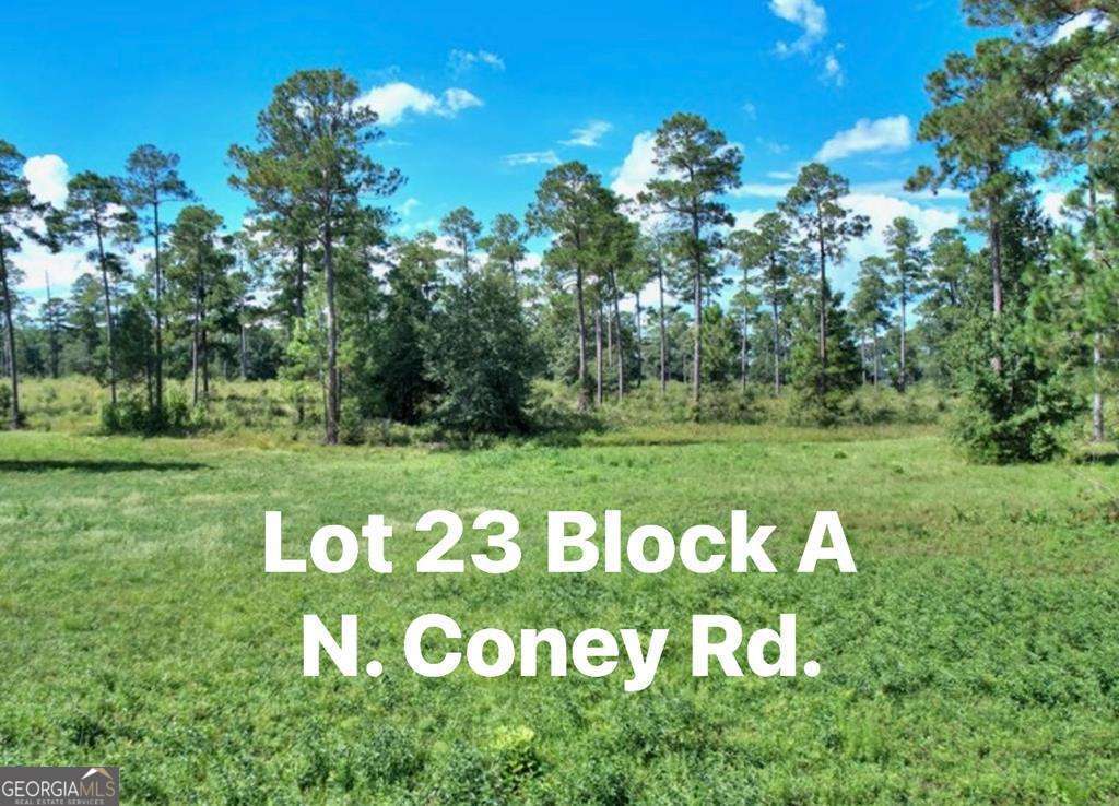 0 N Coney Rd Lot 23 Block A Property Photo 1