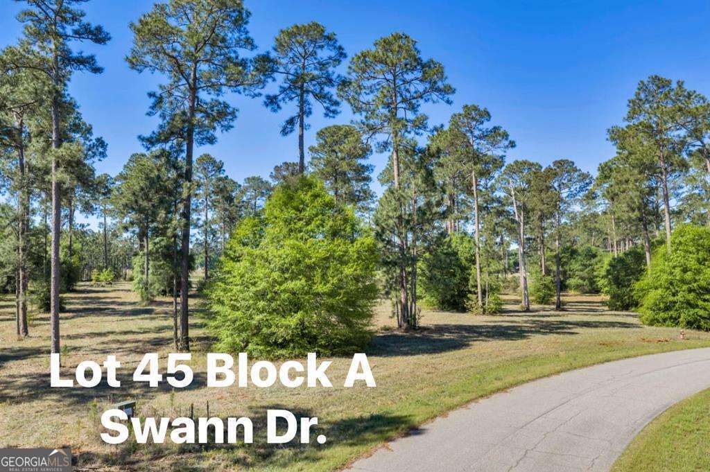 0 Swann Dr Lot 45 Block A Property Photo 4
