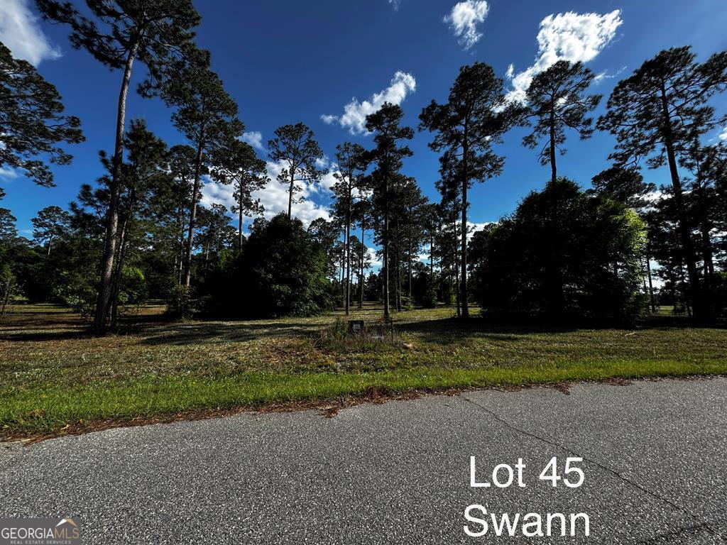 0 Swann Dr Lot 45 Block A Property Photo 10