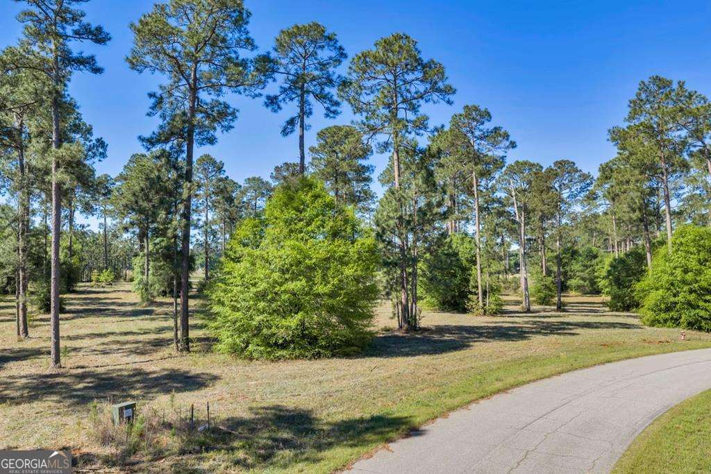 0 Swann Dr Lot 47 Block A Property Photo 2