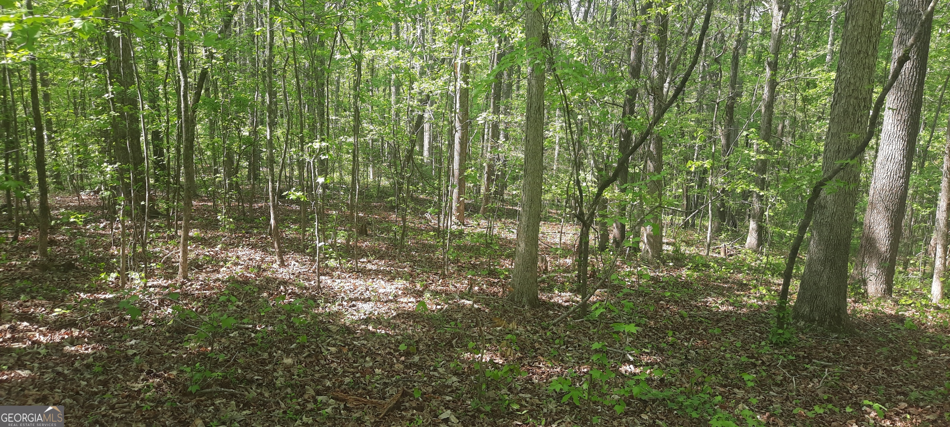 11300 Azalea Trail Property Photo 3