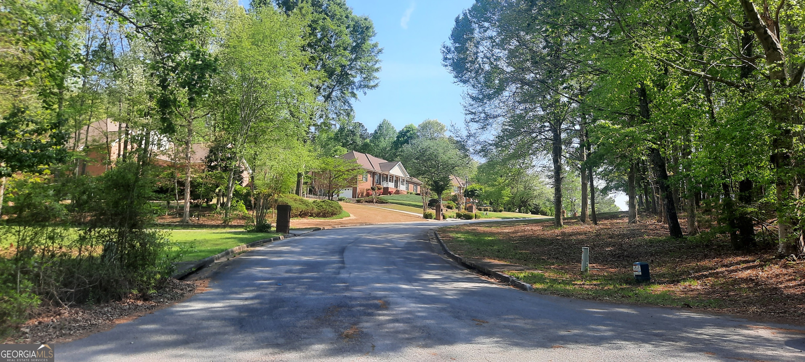 11300 Azalea Trail Property Photo 6