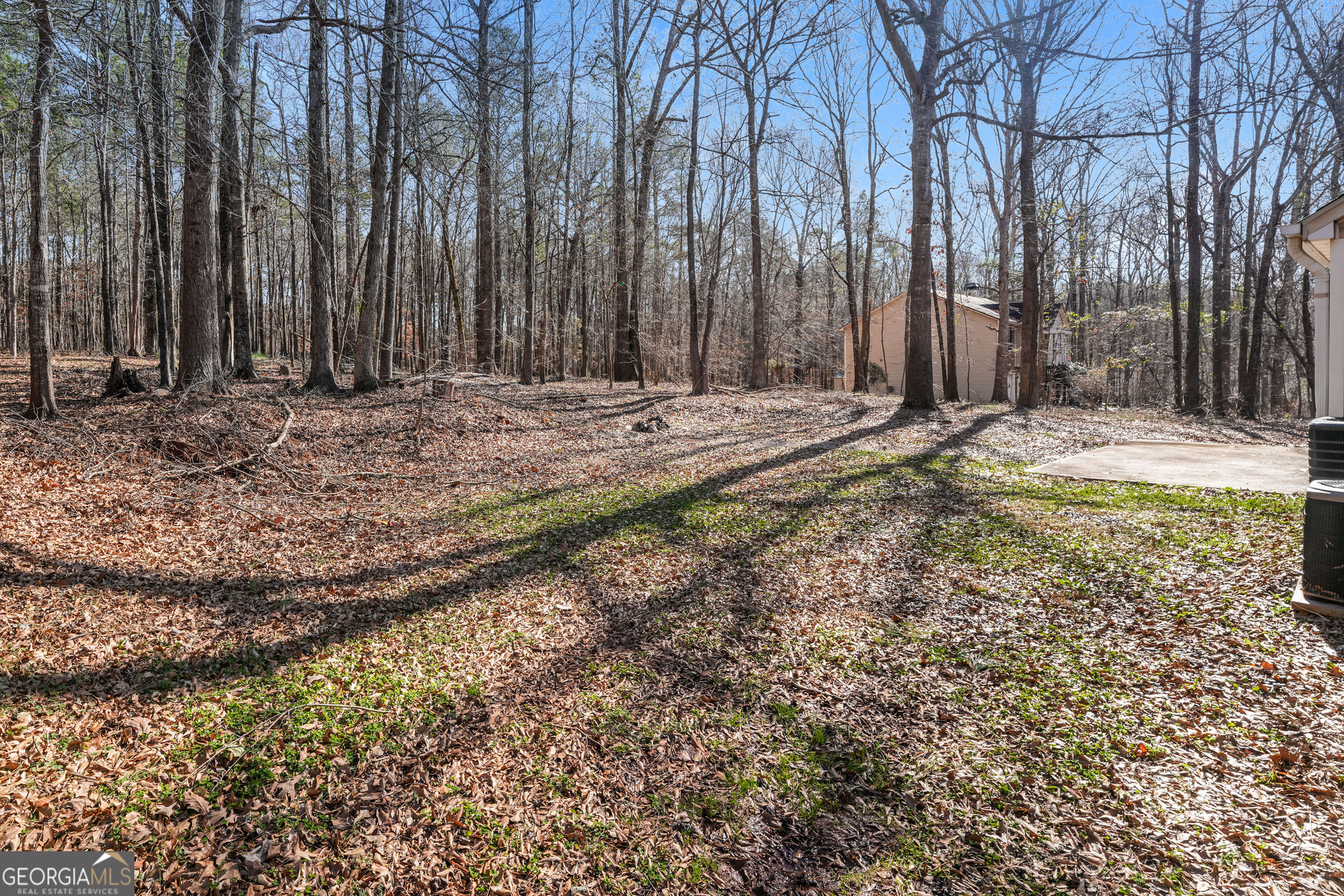 310 Alcovy Way Property Photo 21