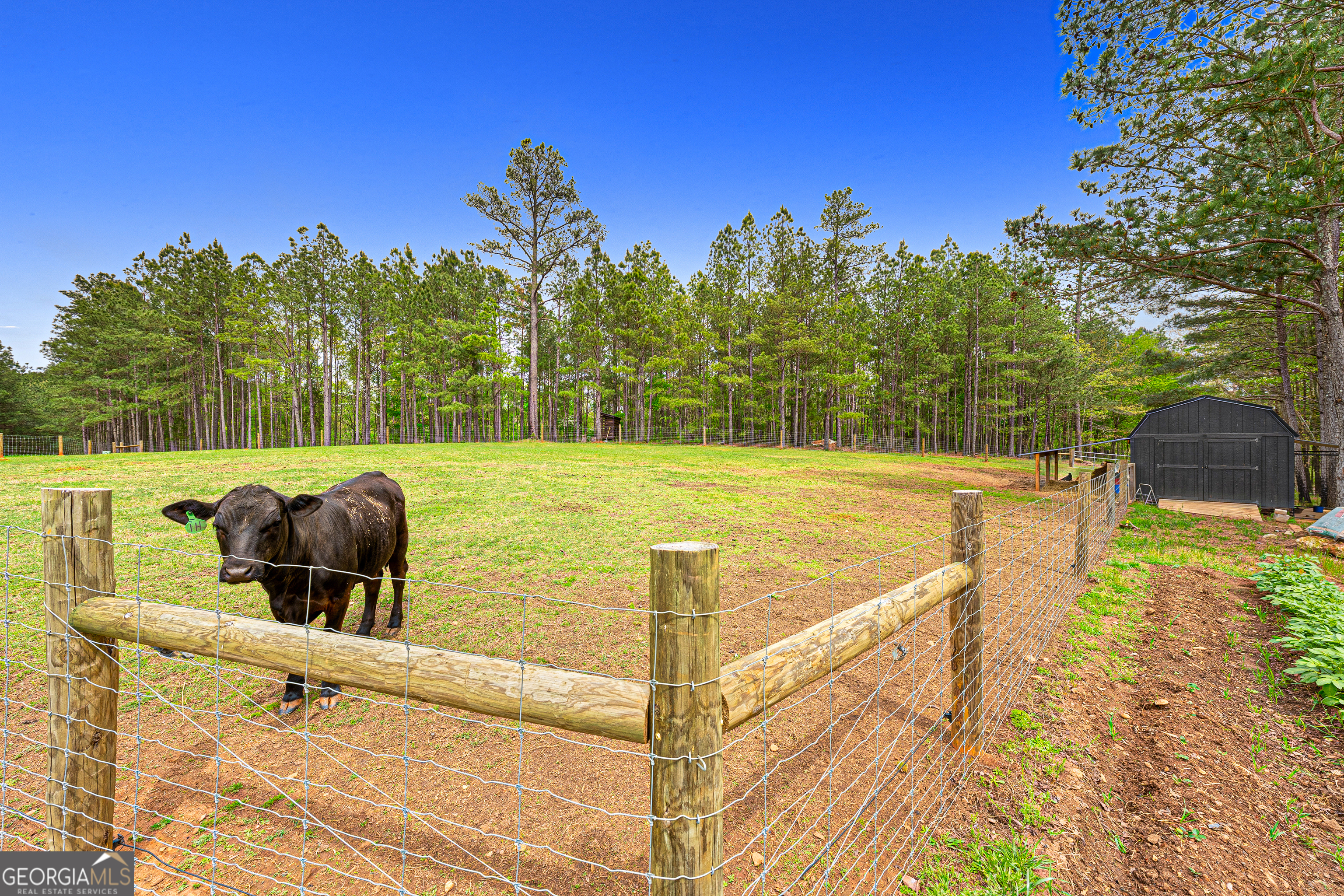 630 Human Road Property Photo 34