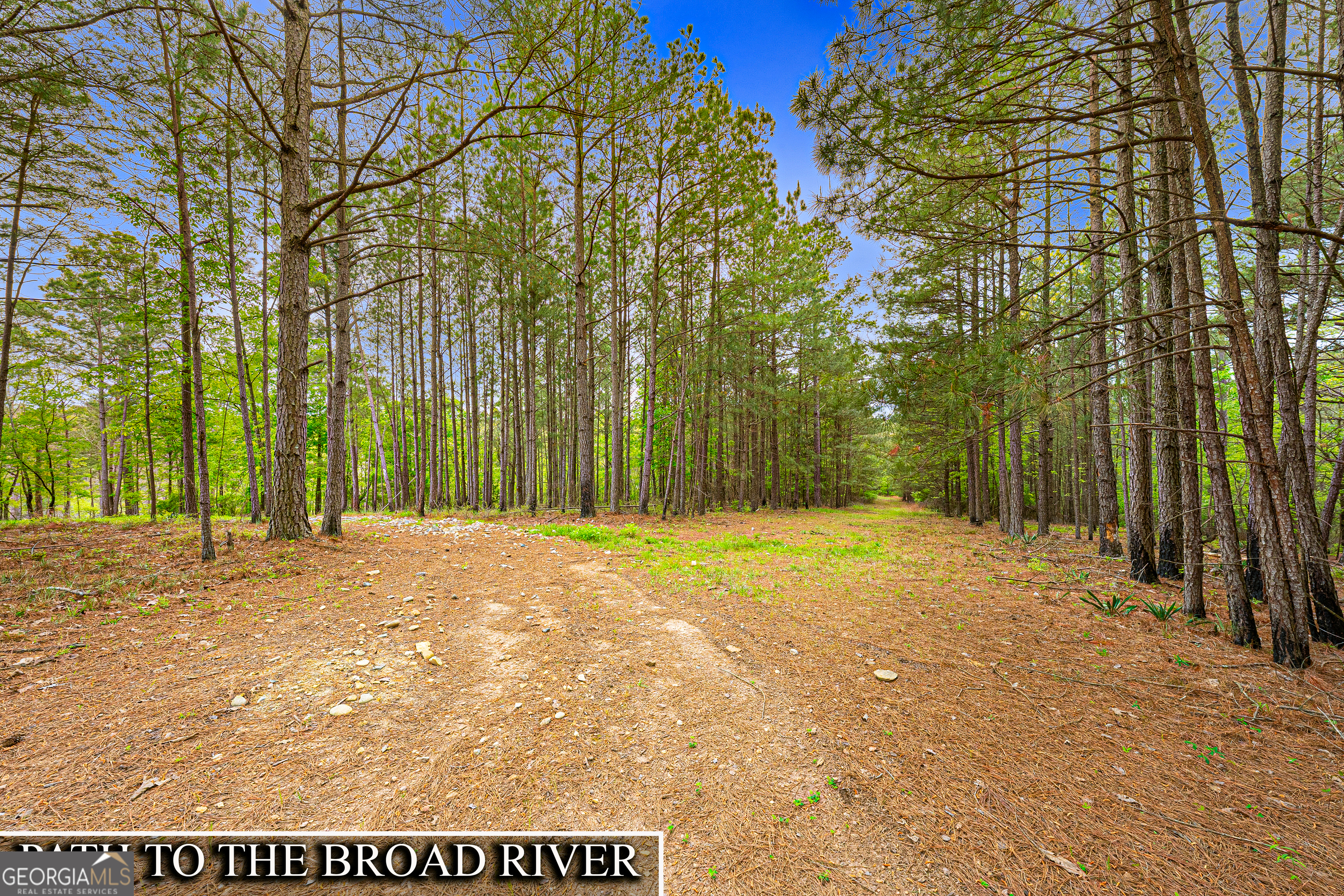 630 Human Road Property Photo 35