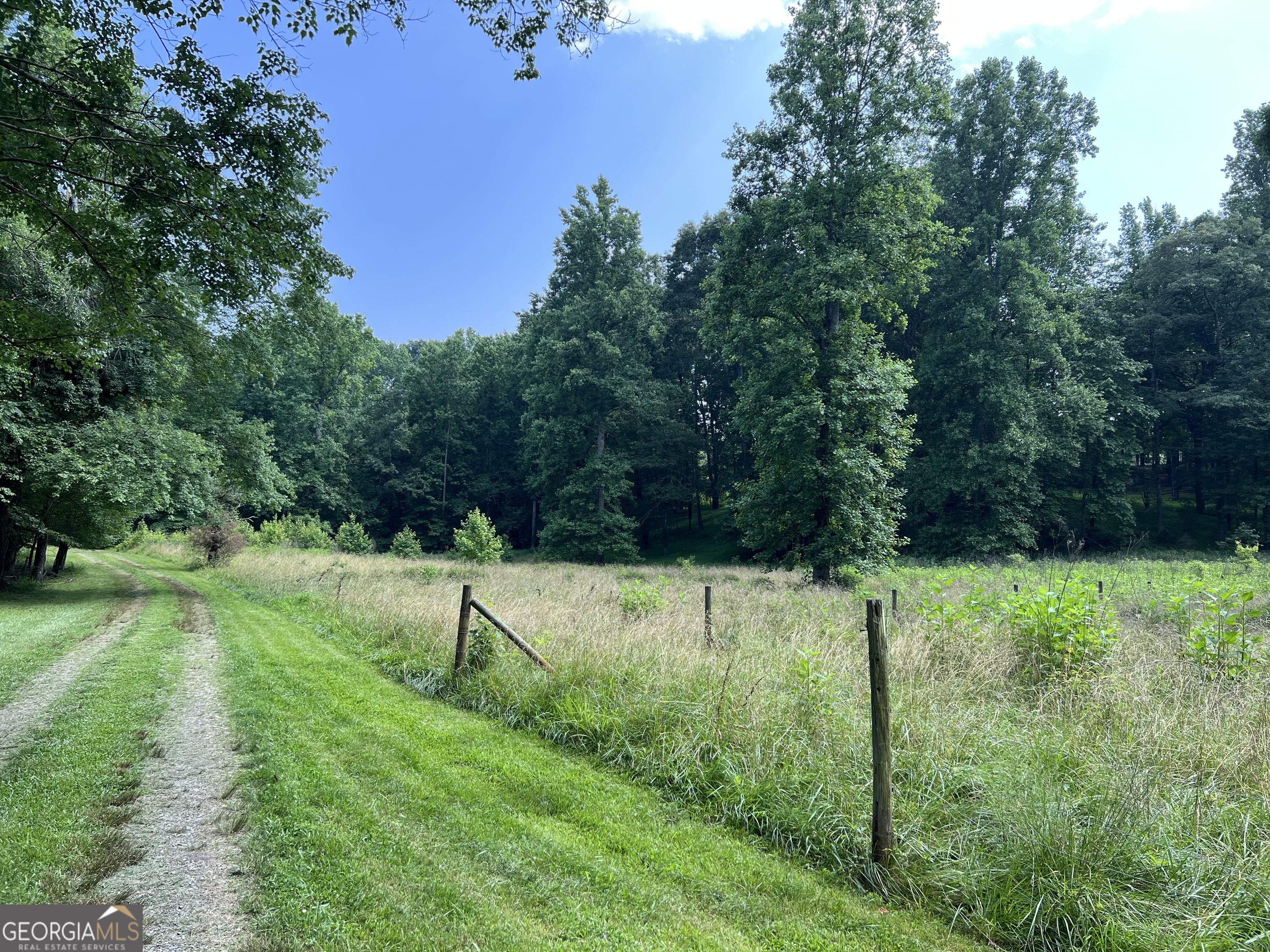 0 Old H K Wagon Road Property Photo 2